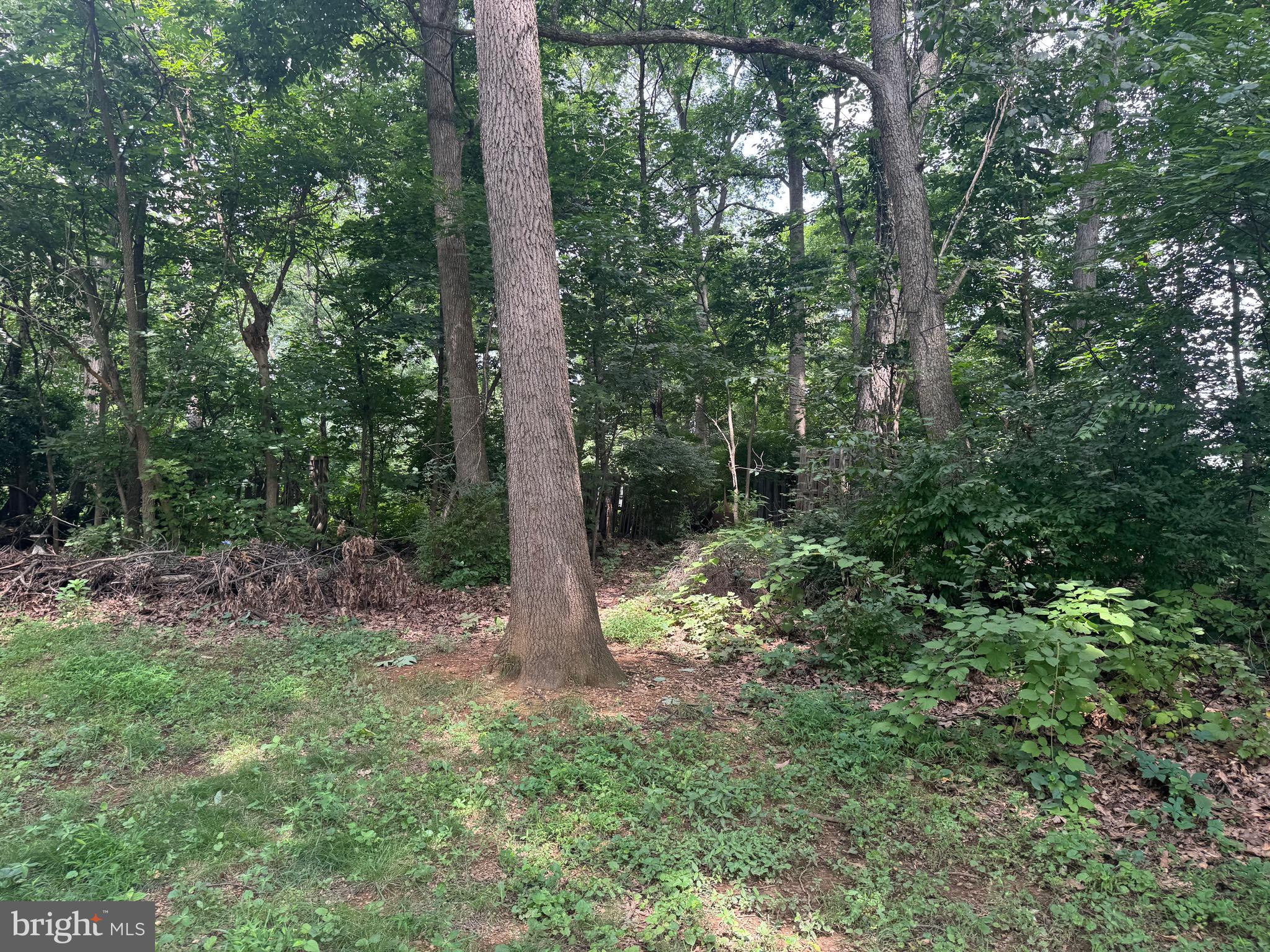 TIMBERWALK - Residential