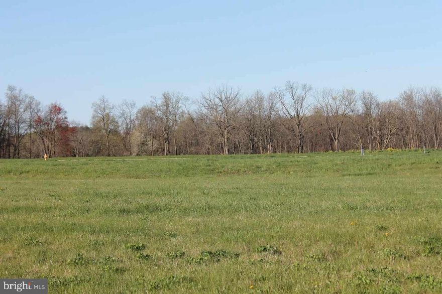 Beautiful setting to build your home, curved street, open space.Outstanding Dover school district. Easy access to RT. 30, 74 and I-83. Easy commute to Camp Hill, Harrisburg area. Flat and walk-out basement lots. Beautiful views. Wide Streets. Convenient location. Owner financing available.