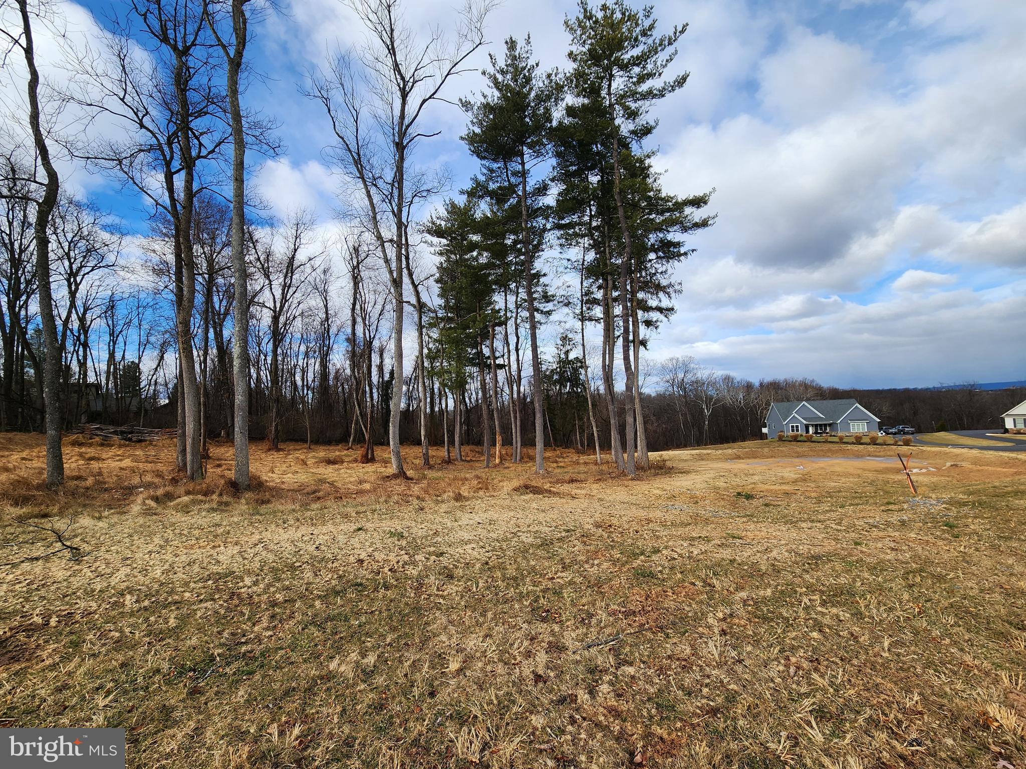Lot 11 SAWTOOTH OAK DR