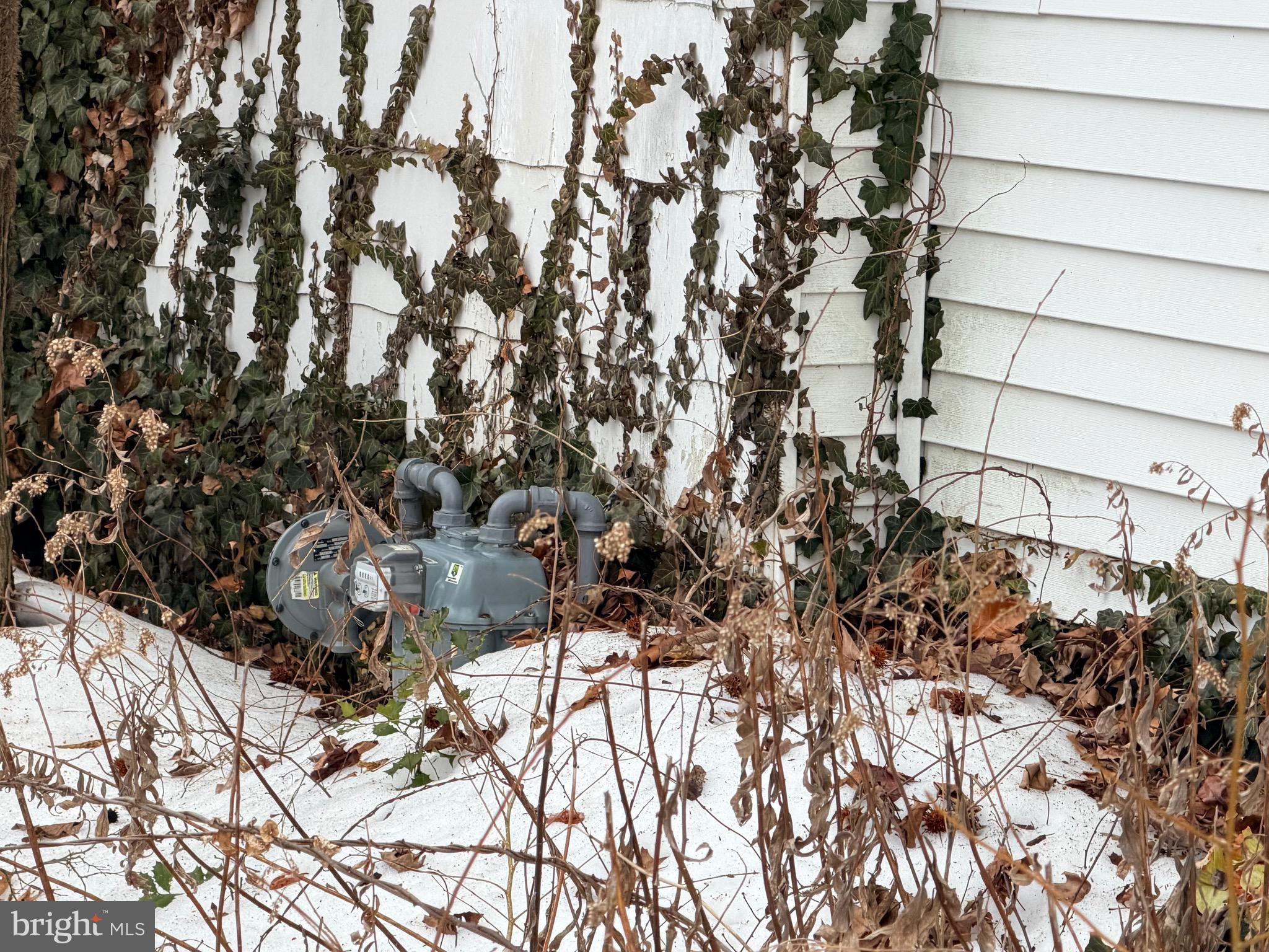 6 RHODE ISLAND AVENUE