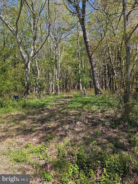 Vacant Land For Sale - 5071 Wayman Road<br/> MARION STATION, MD 21838