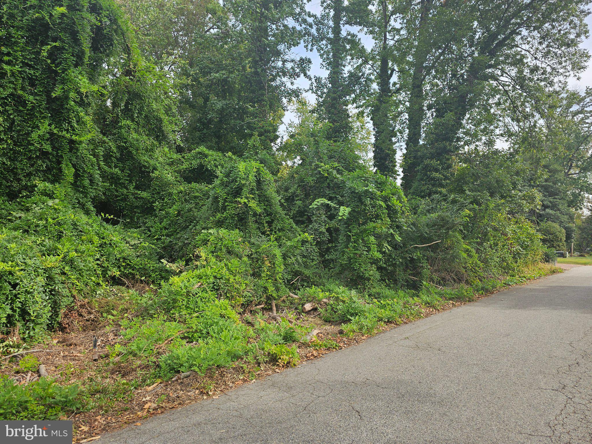5800 RIVER DRIVE