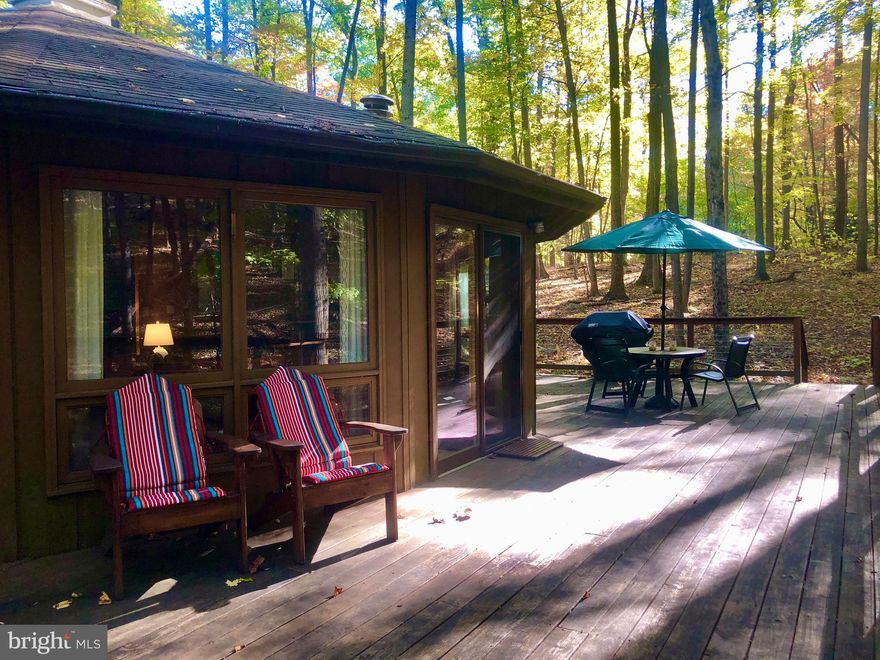 Unique modern cabin located in the iconic Coolfont Mountainside. Get ready to relax & make memories for a lifetime in this beautiful & cozy cabin. Offering 3 bedrooms, 2 full baths, & a 360 view fireplace in the living room, all conveniently located on one level. Outdoors features a large deck for enjoyment with a bbq gas grill. Community offers a seasonal (Memorial Day-Labor Day) heated pool and hot tub, plus year round hiking trails, tennis & basketball court, & tot-lot. This cabin is also a vacation rental with Mountainside Getaways and offers an already established rental history for all investors.