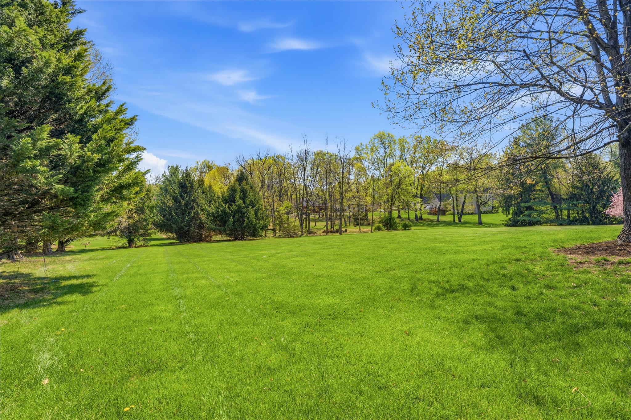 WHITE FLINT SPRINGS - Residential