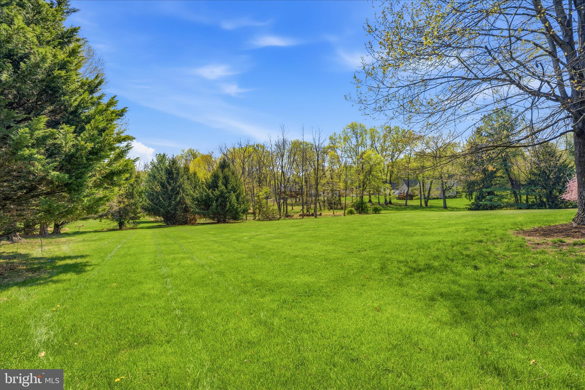 WHITE FLINT SPRINGS - Residential
