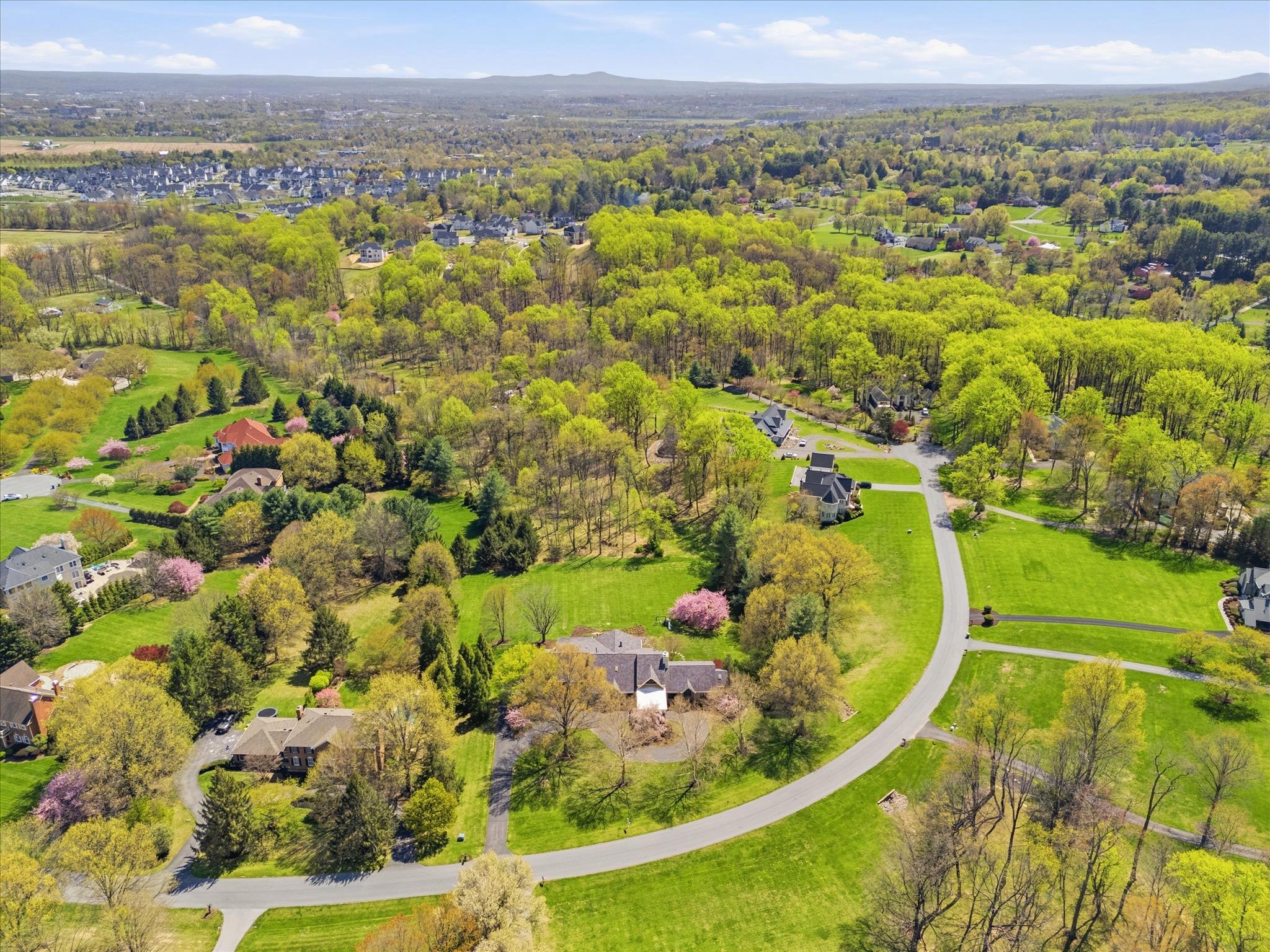 WHITE FLINT SPRINGS - Residential