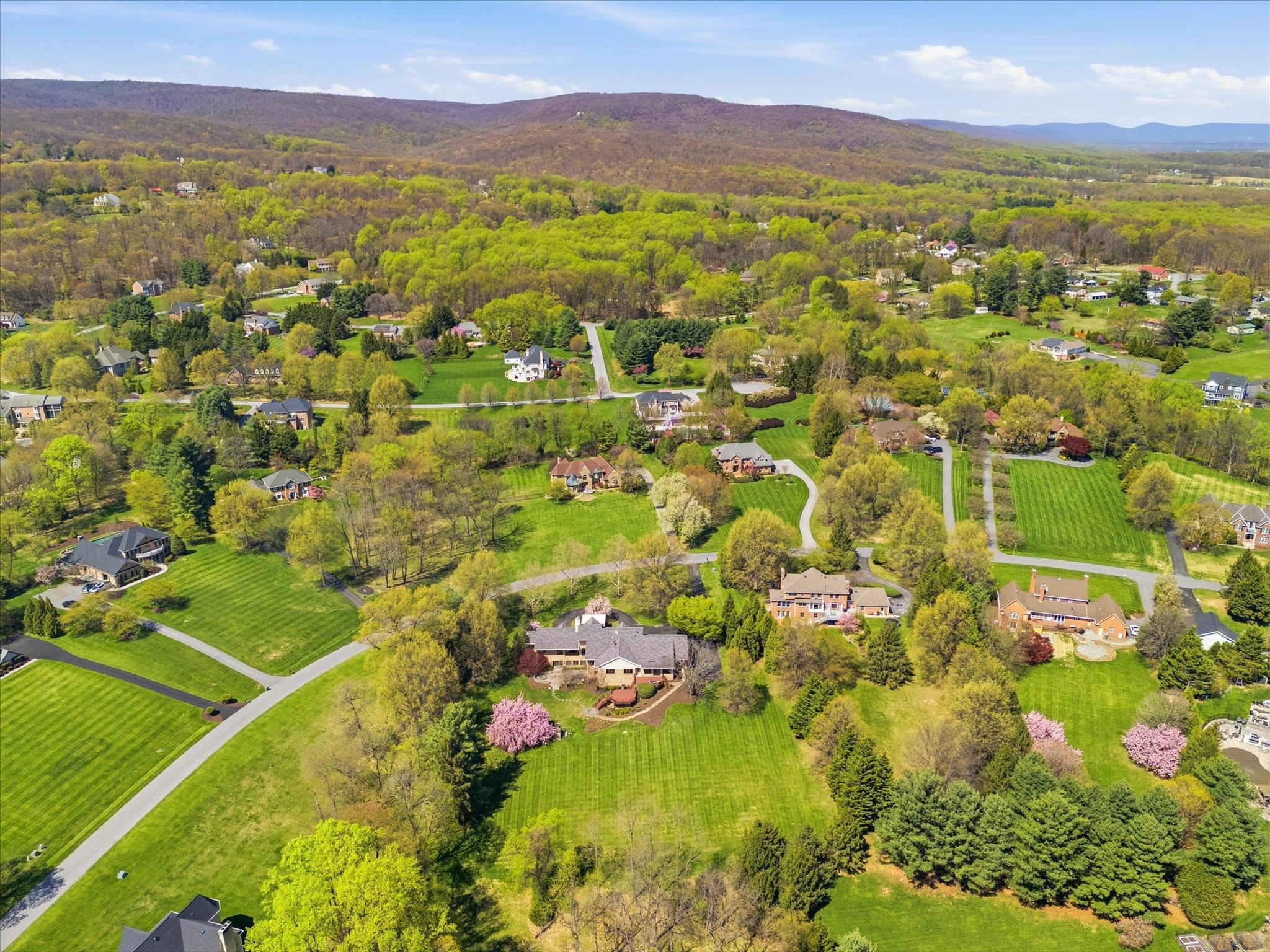 WHITE FLINT SPRINGS - Residential