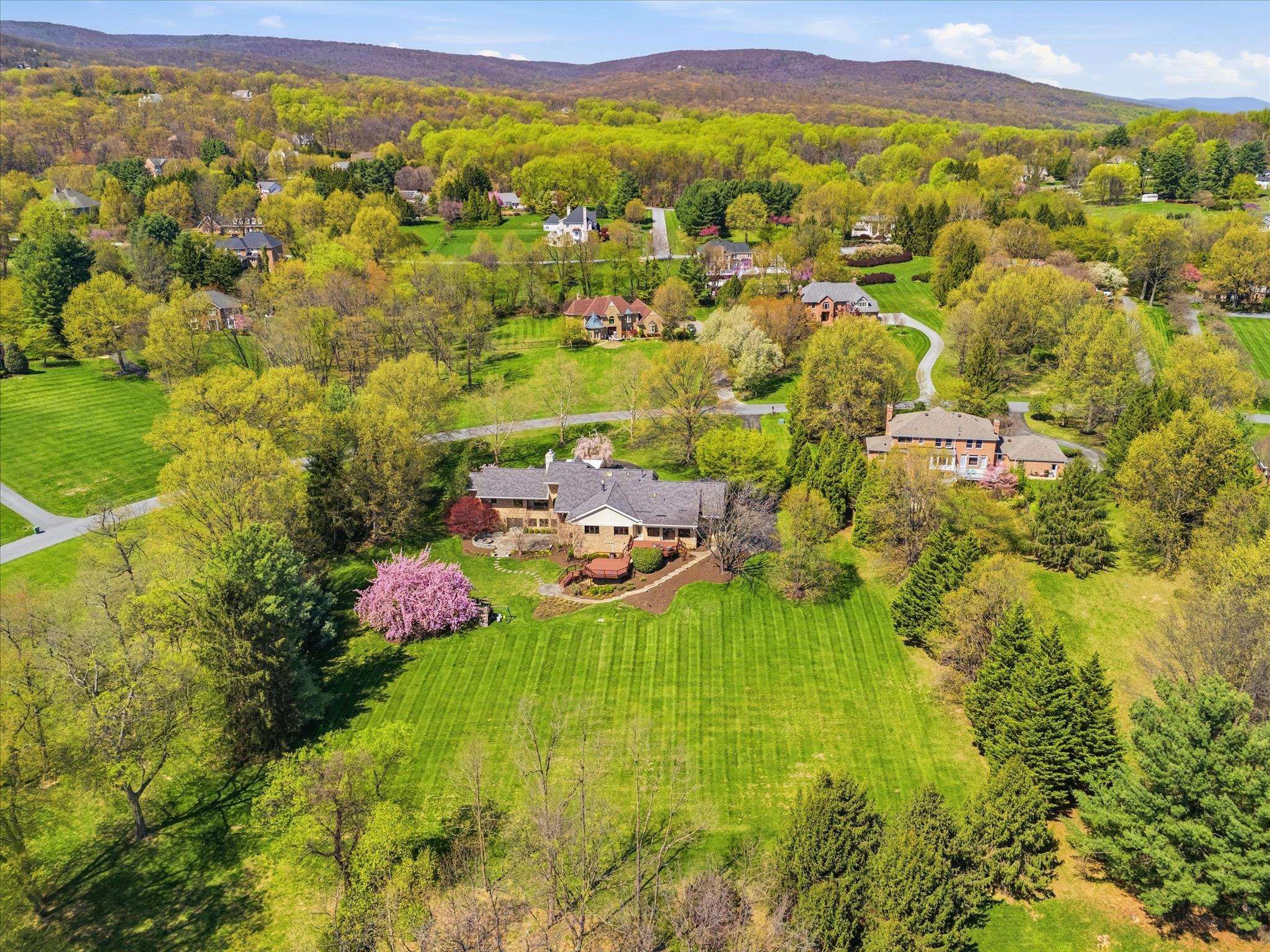 WHITE FLINT SPRINGS - Residential
