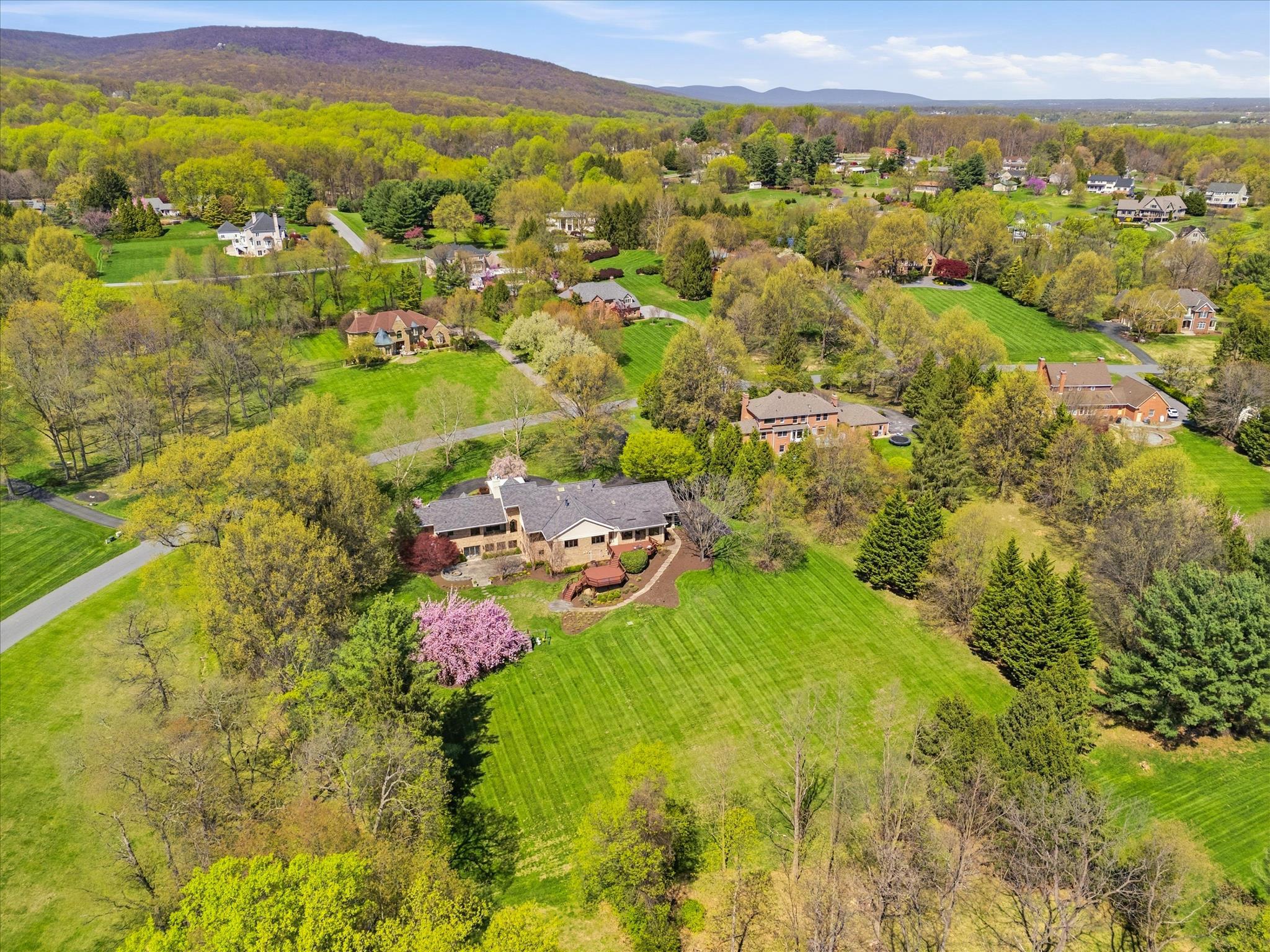 WHITE FLINT SPRINGS - Residential