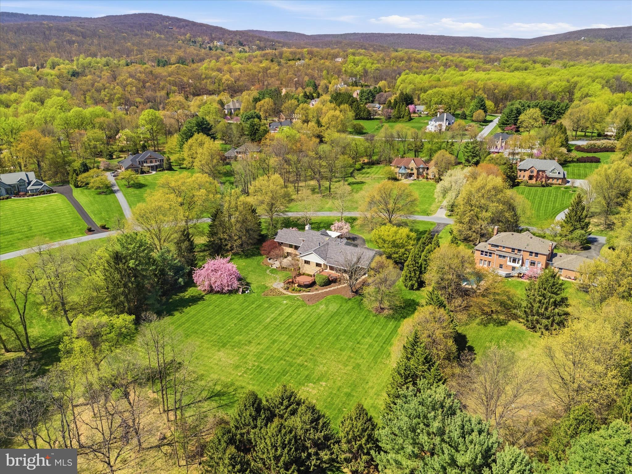 WHITE FLINT SPRINGS - Residential