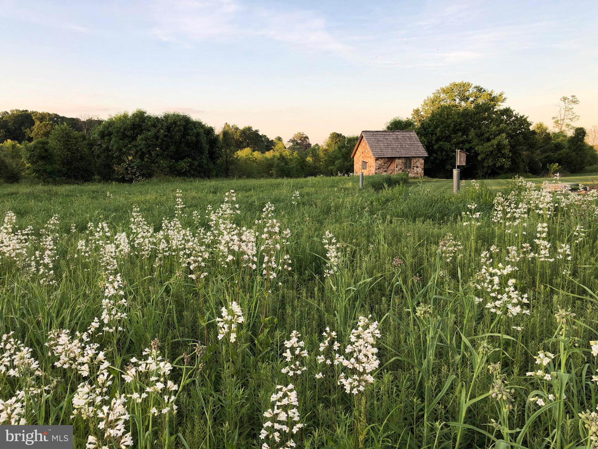 RED CEDAR WEST - Residential