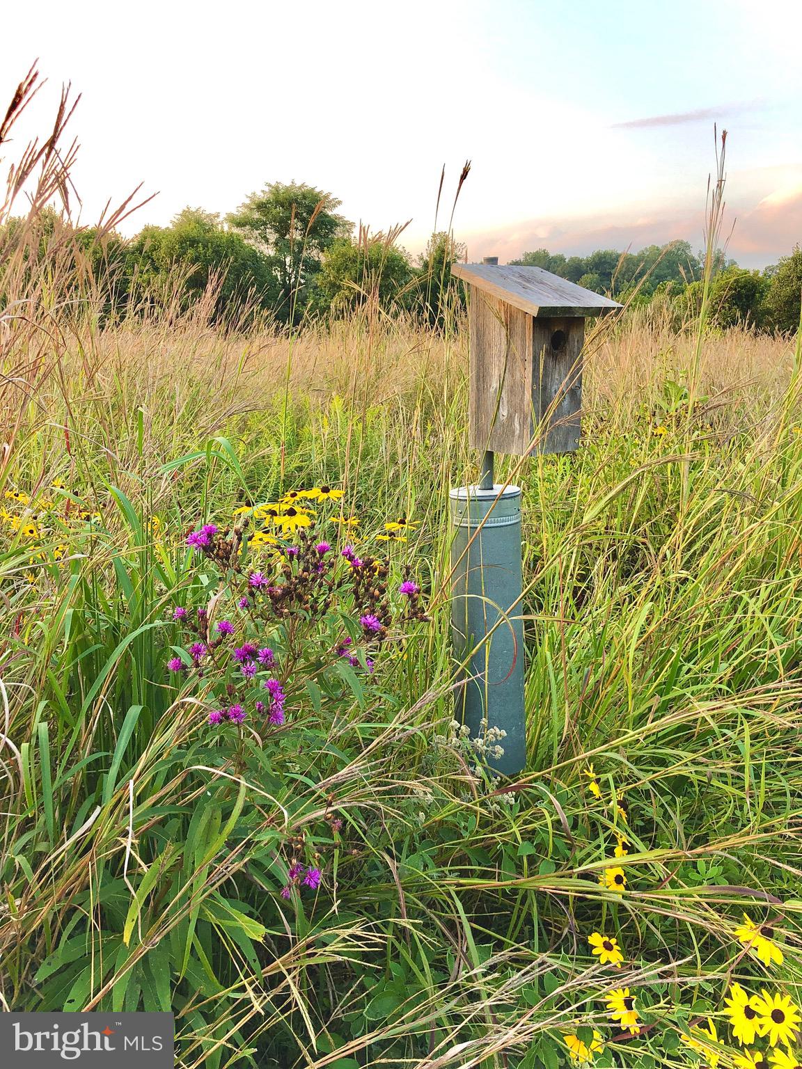RED CEDAR WEST - Residential