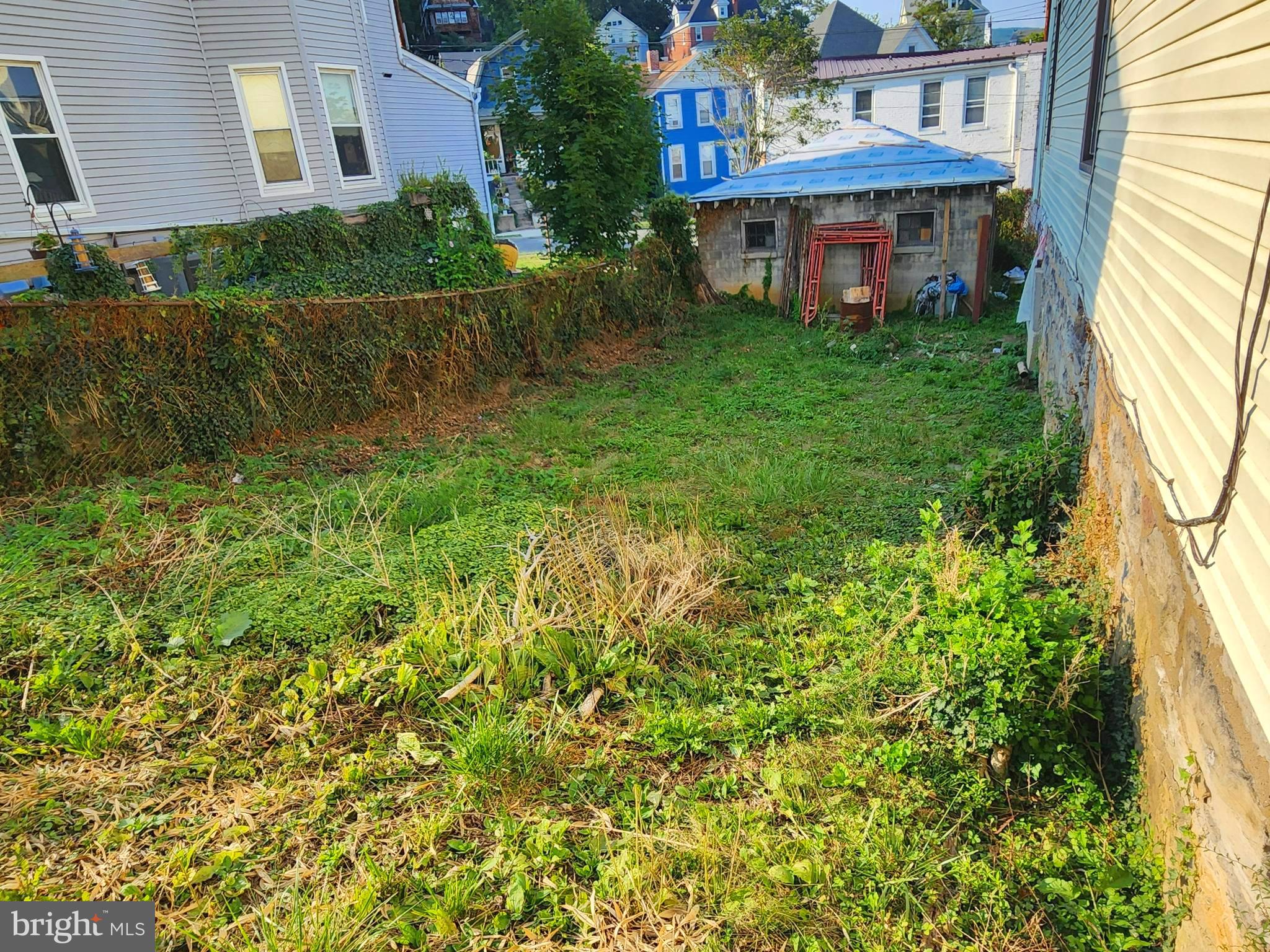 Main image without alt text