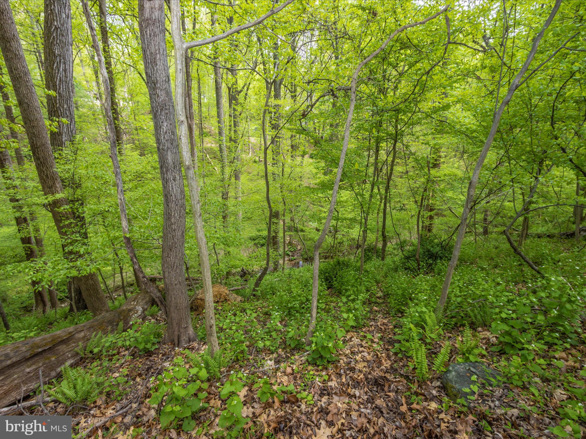 HAMMOND ESTATES - Residential