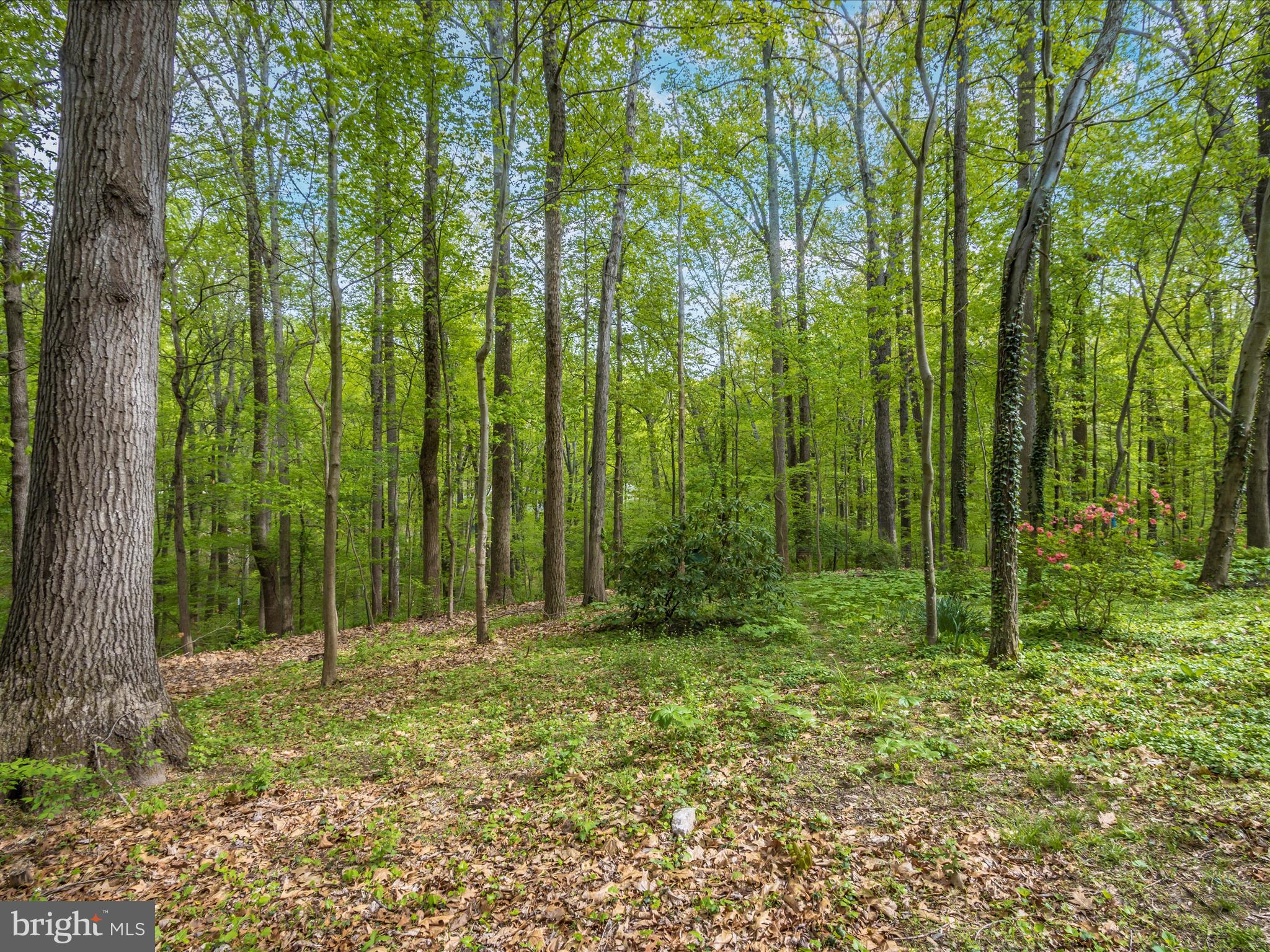 HAMMOND ESTATES - Residential