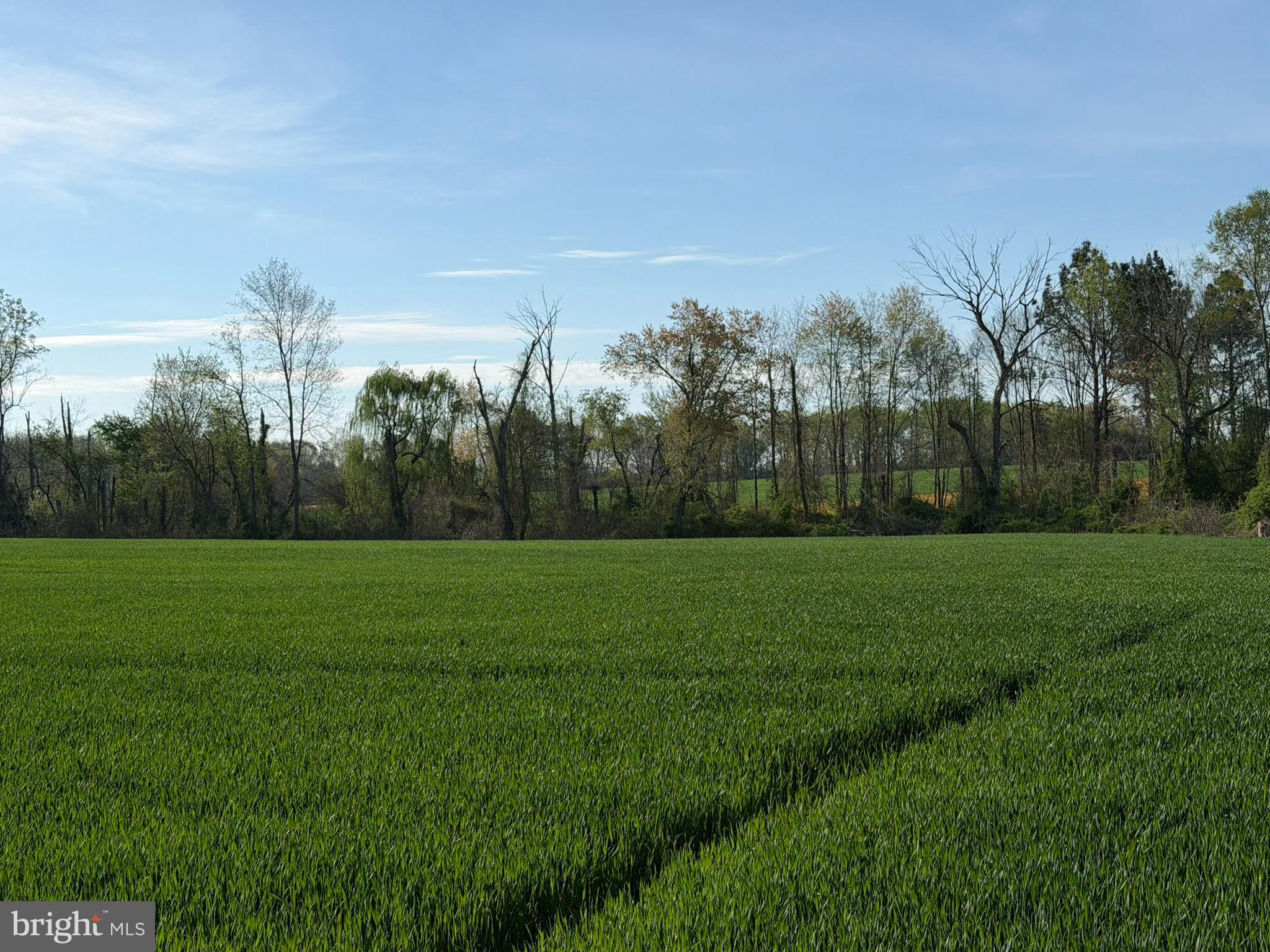 CORDOVA - Residential