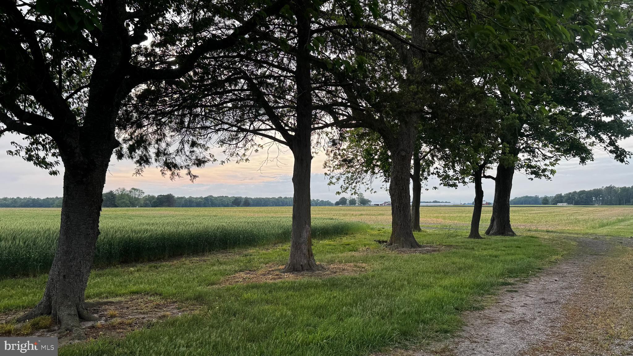 CORDOVA - Residential
