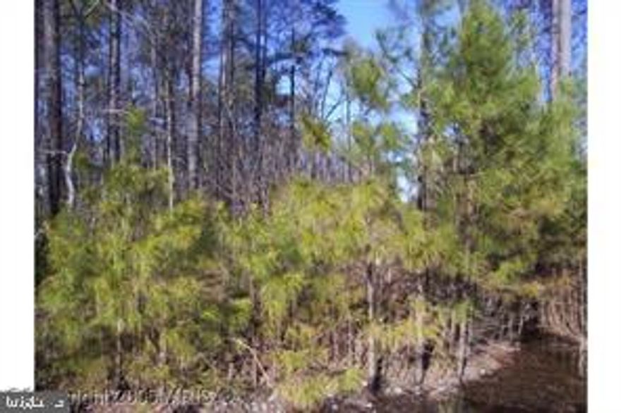 Undeveloped land in the Town of Colonial Beach, Virginia. It's a flat lot without an HOA. Just minutes away from "The Town" amenities that include a sandy beach, boat ramp, fishing pier, playground areas, and seafood restaurants. Great Investment! Community plat available.