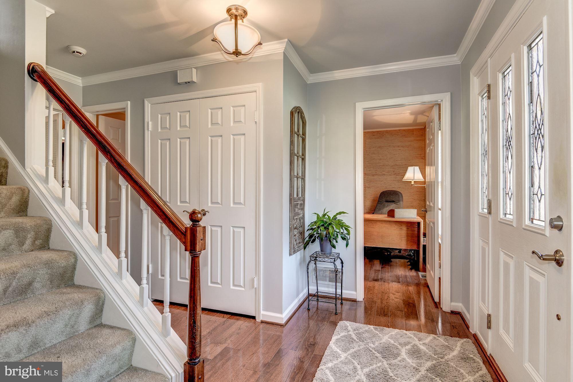 GEORGE MASON FOREST - Residential