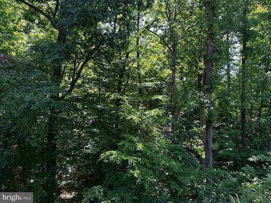 17201 INTERSTATE DR, DUMFRIES, VA 22026 - Image e0653d01c4fe0c19db495ad1a42dfdfa/572369304