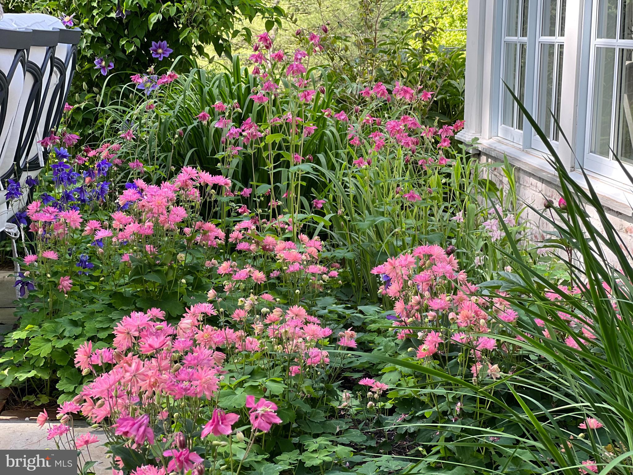 BRYN MAWR - Residential