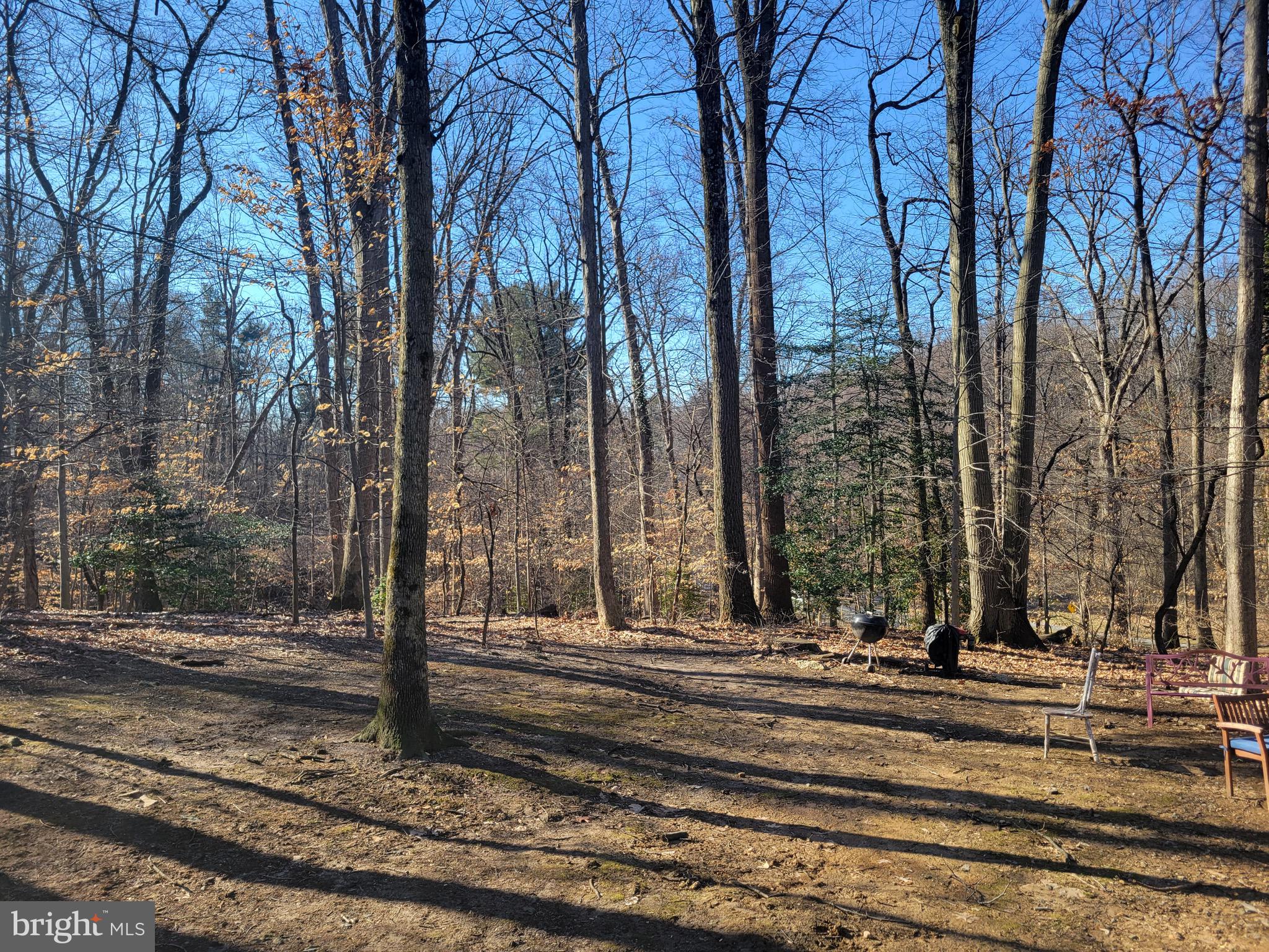 SILVER SPRING - Residential Lease