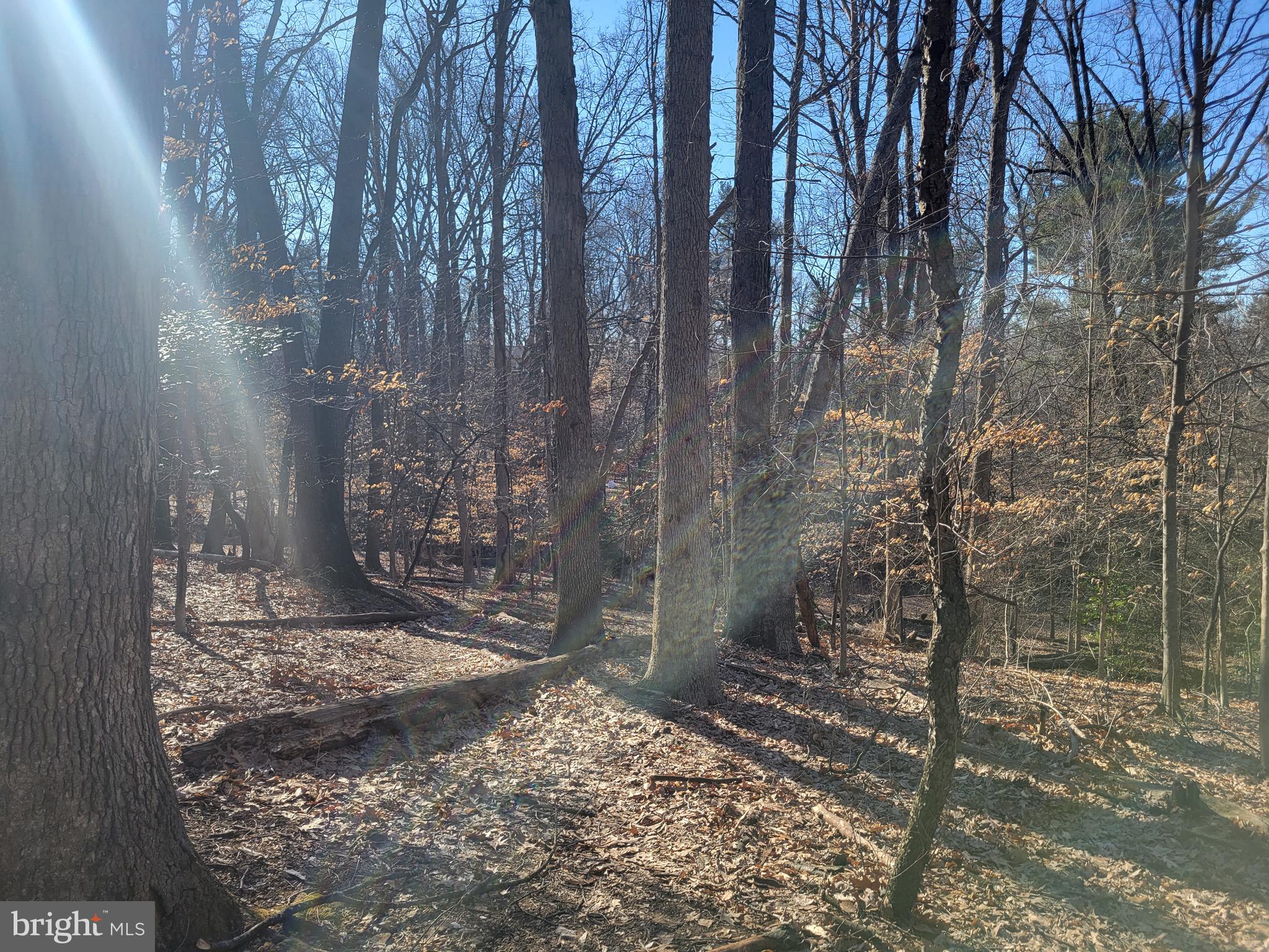 SILVER SPRING - Residential Lease