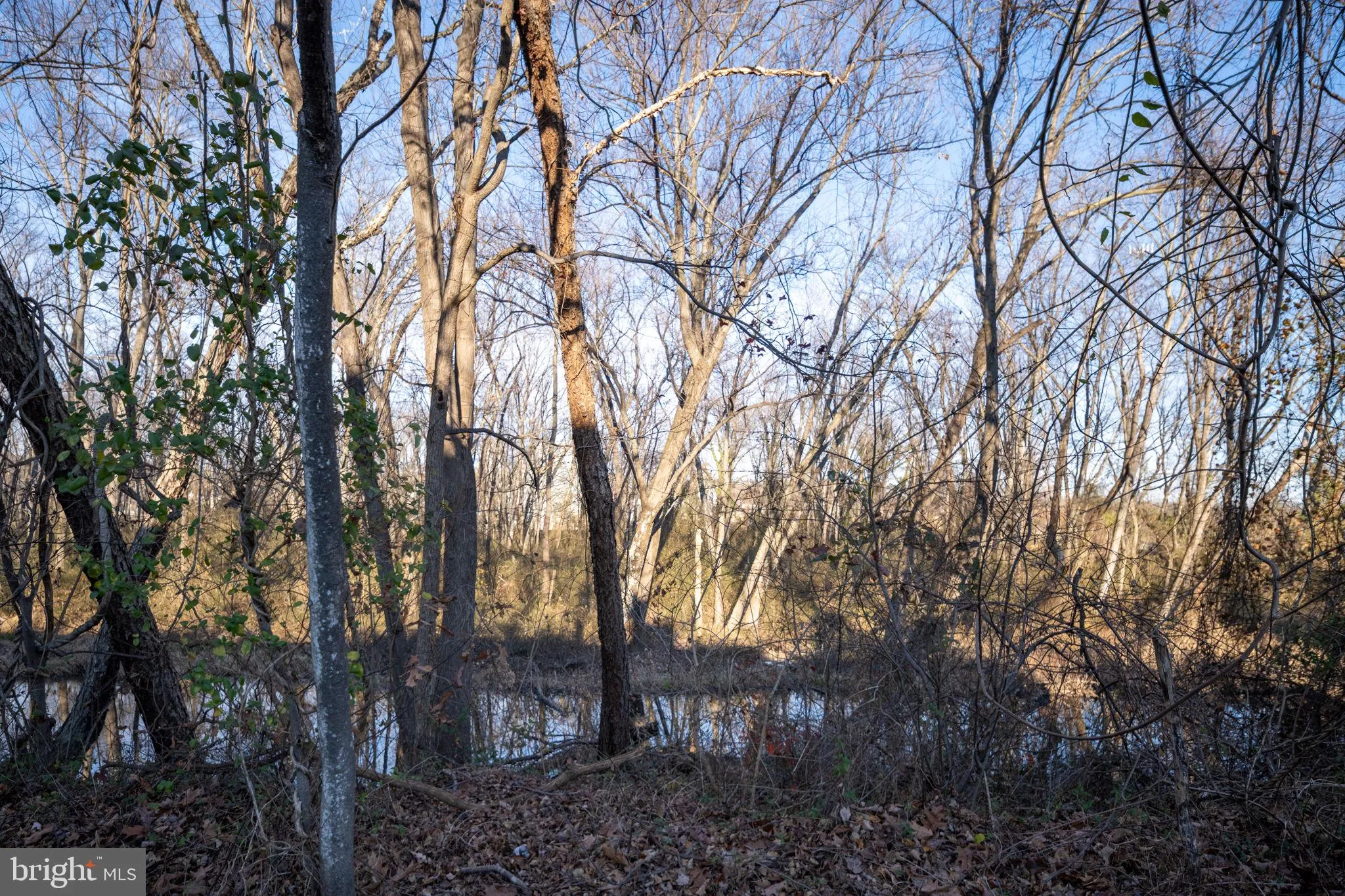 Dumfries, Virginia 22026, United States, 3 Bedrooms Bedrooms, ,3 BathroomsBathrooms,Residential,Active,250323