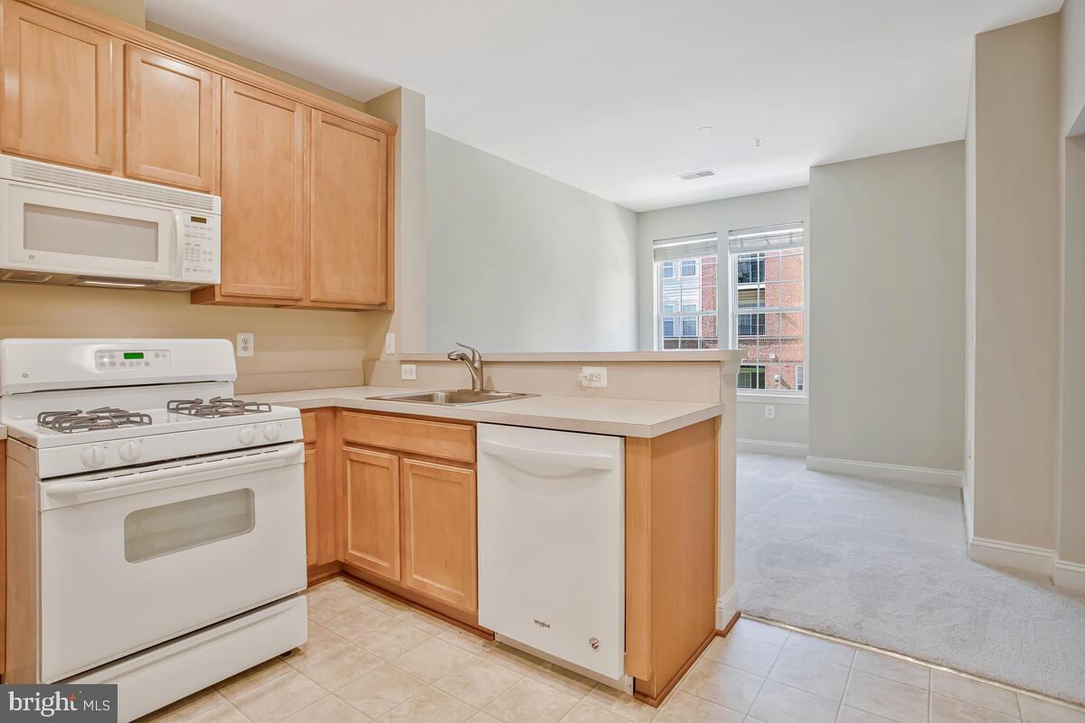 ENCLAVE AT ELLICOTT HILLS - Residential