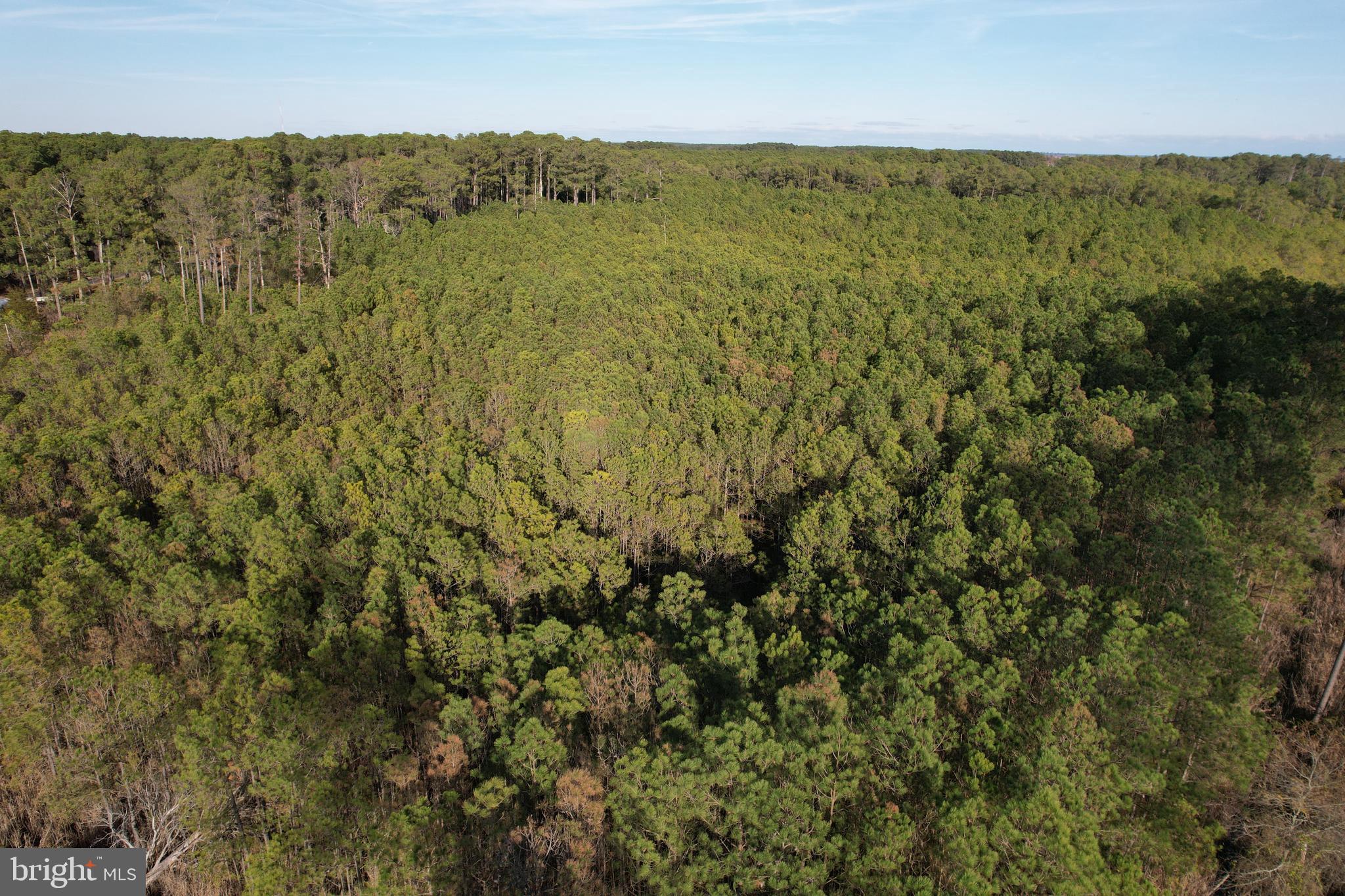 Parcel 455 BOONE ROAD