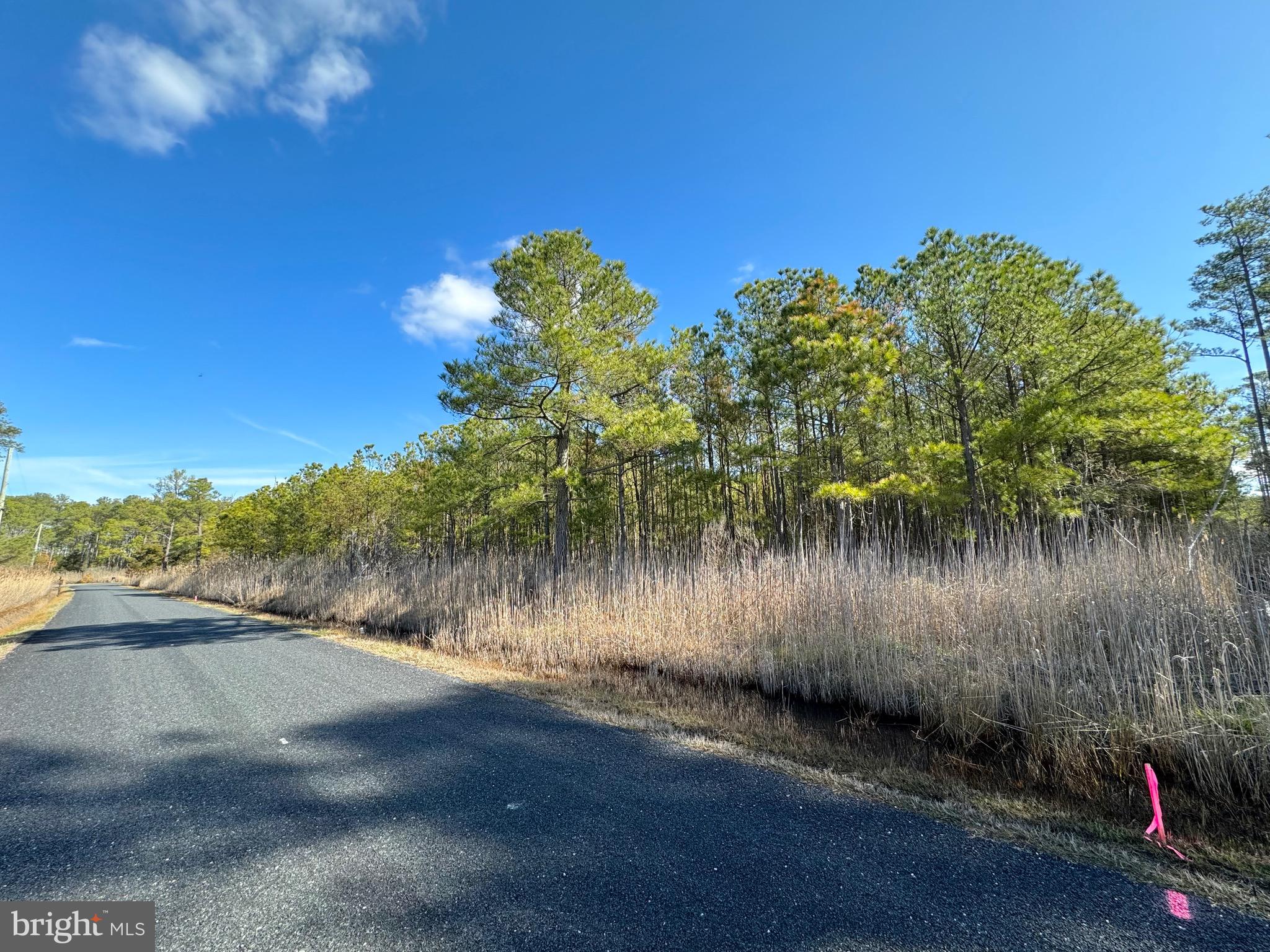 Parcel 455 BOONE ROAD