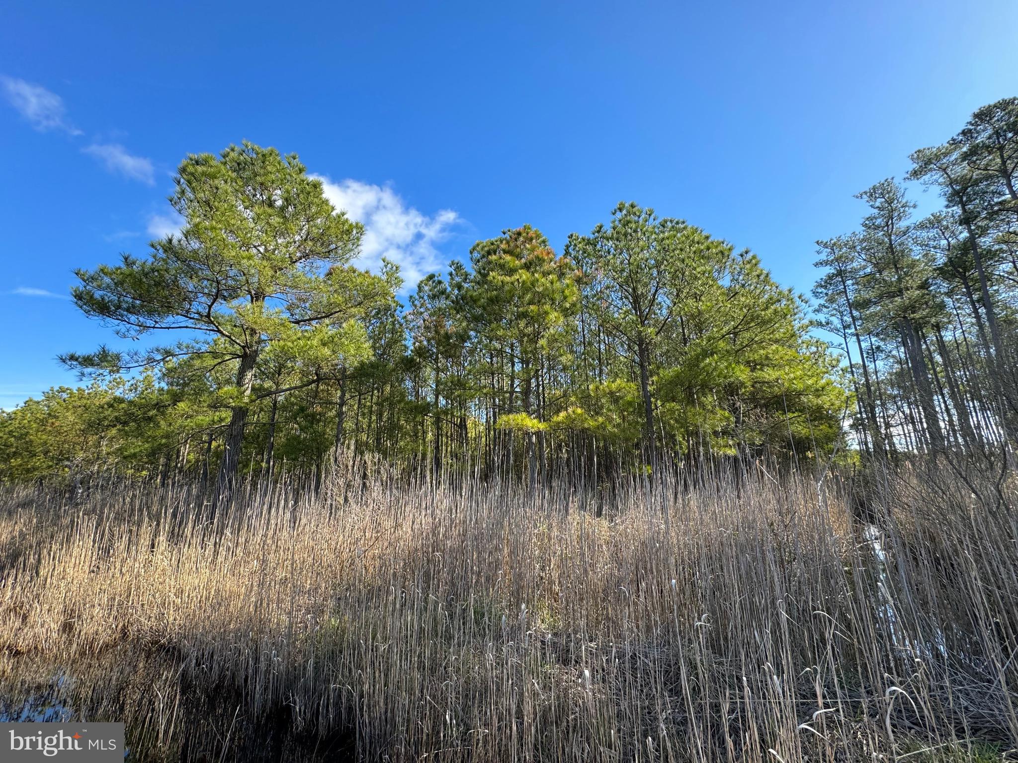 Parcel 455 BOONE ROAD