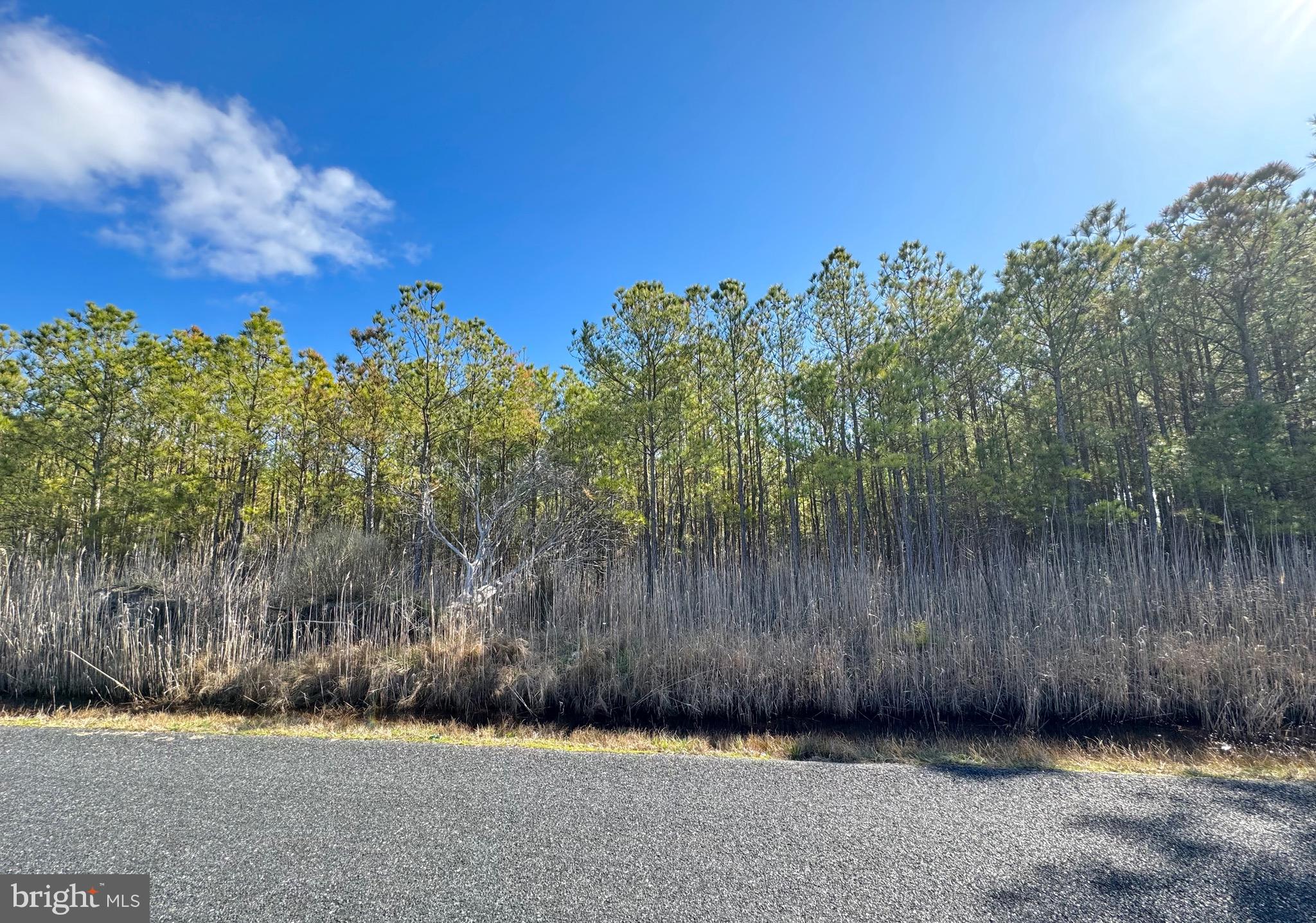 0.62 acres of loblolly pine trees along a quiet road. Lot is surrounded by other woods; making it a great deer hunting spot. Property is a little more than a mile from Jenkins Creek public boat ramp. Enjoy the peacefulness of the Eastern Shore along with hunting and Chesapeake Bay’s fishing and crabbing. Property was recently surveyed. Owner financing available.