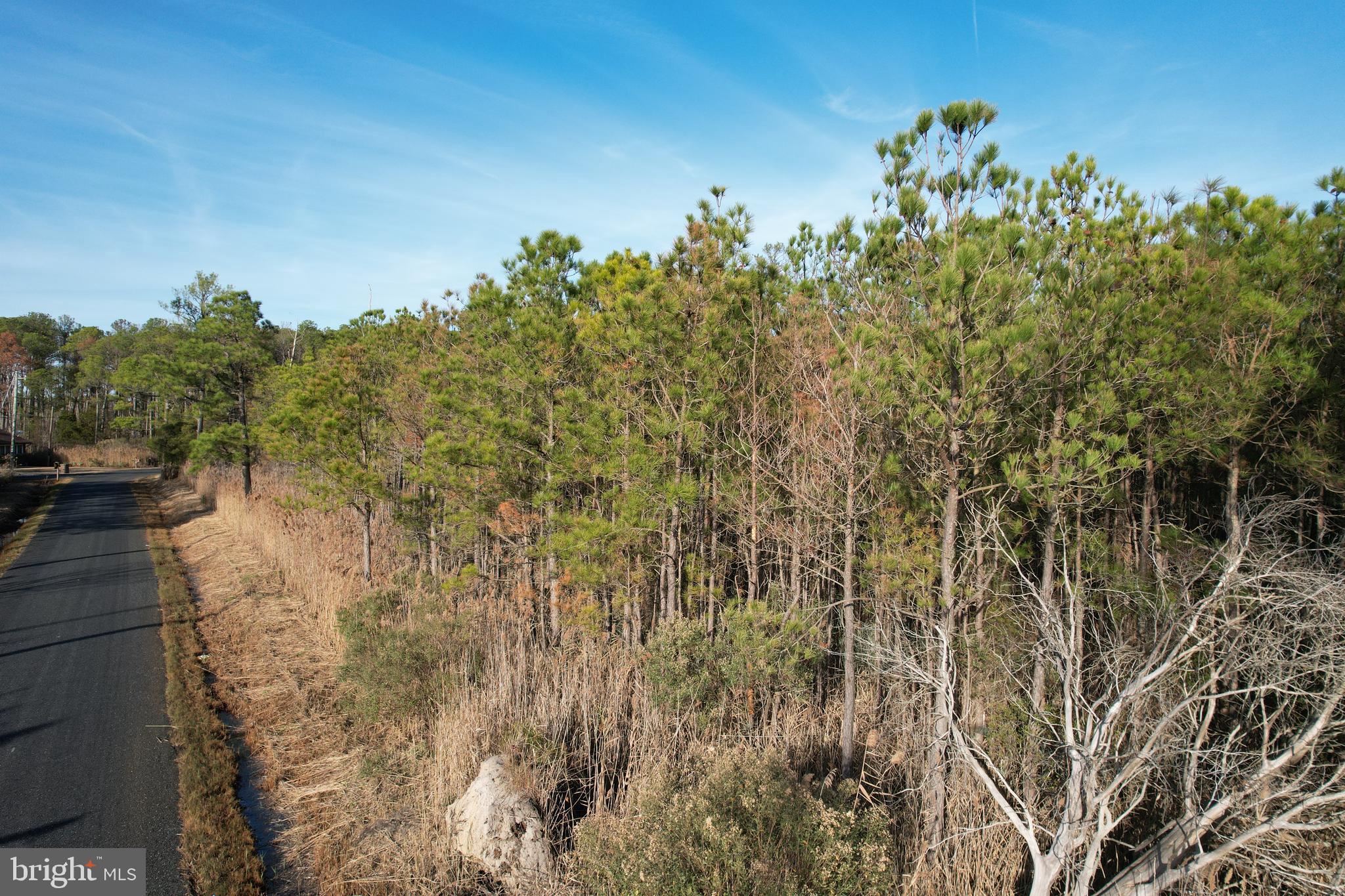 Parcel 455 BOONE ROAD