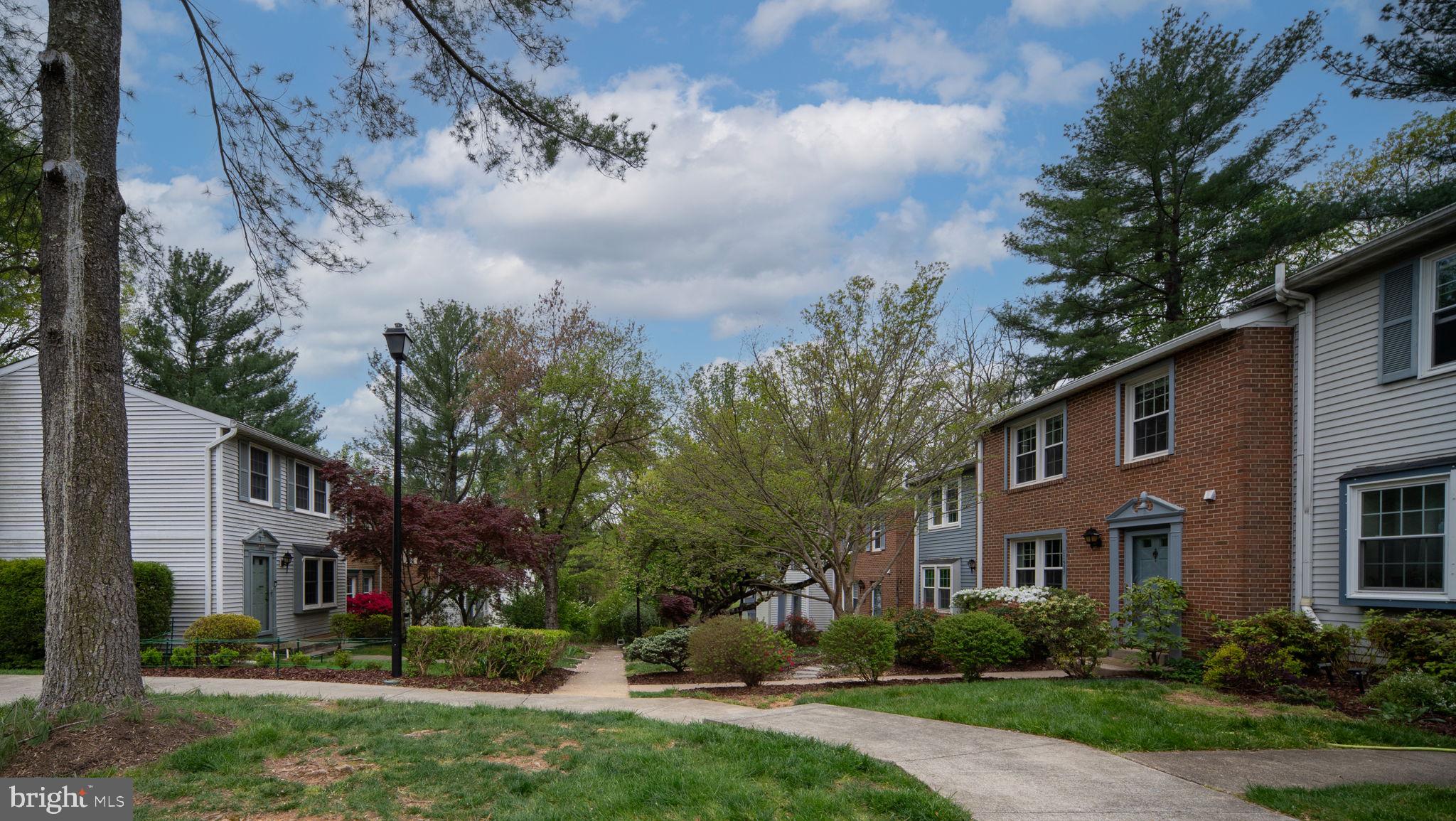 11537 IVY BUSH COURT