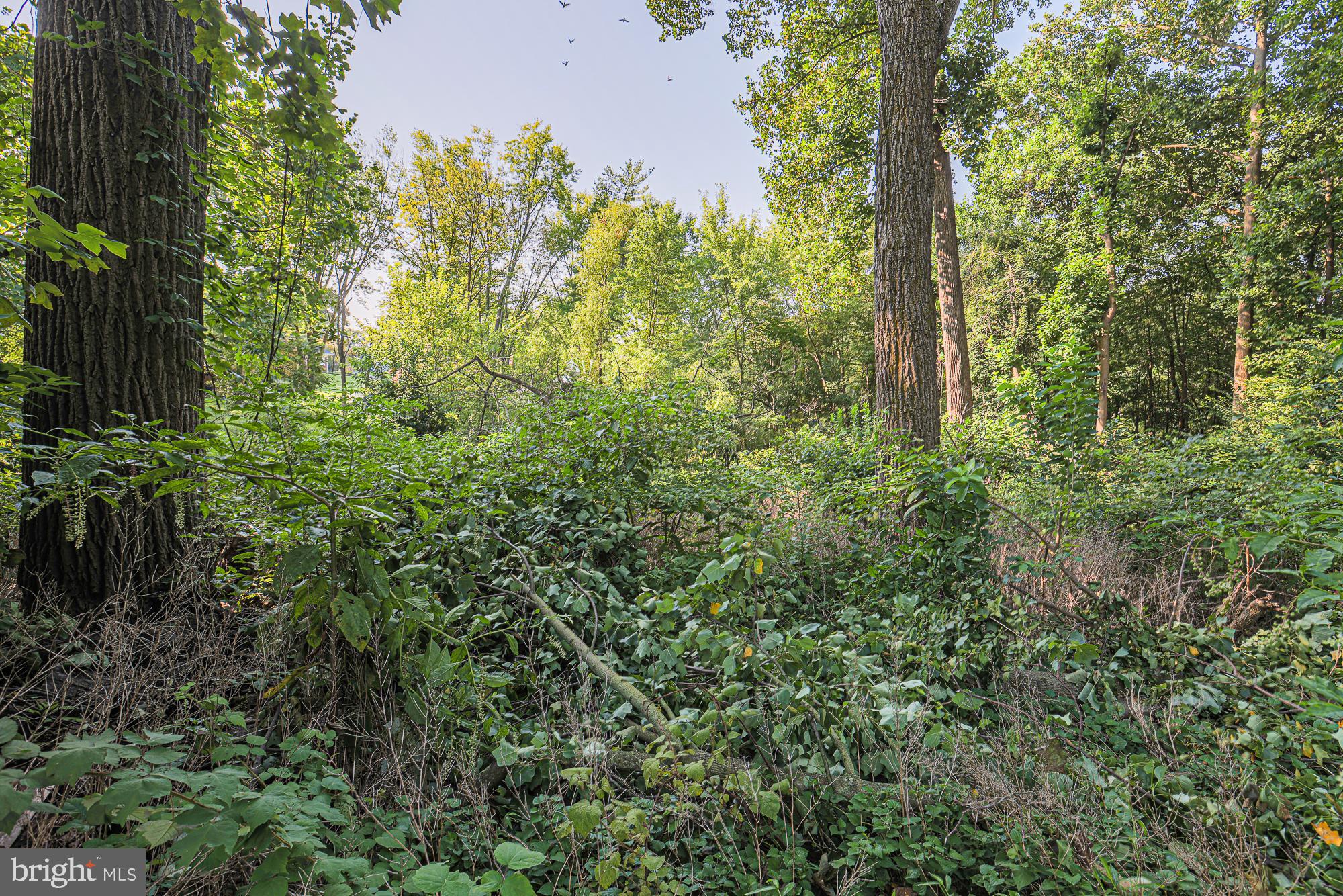 HARFORD ESTATES - Residential