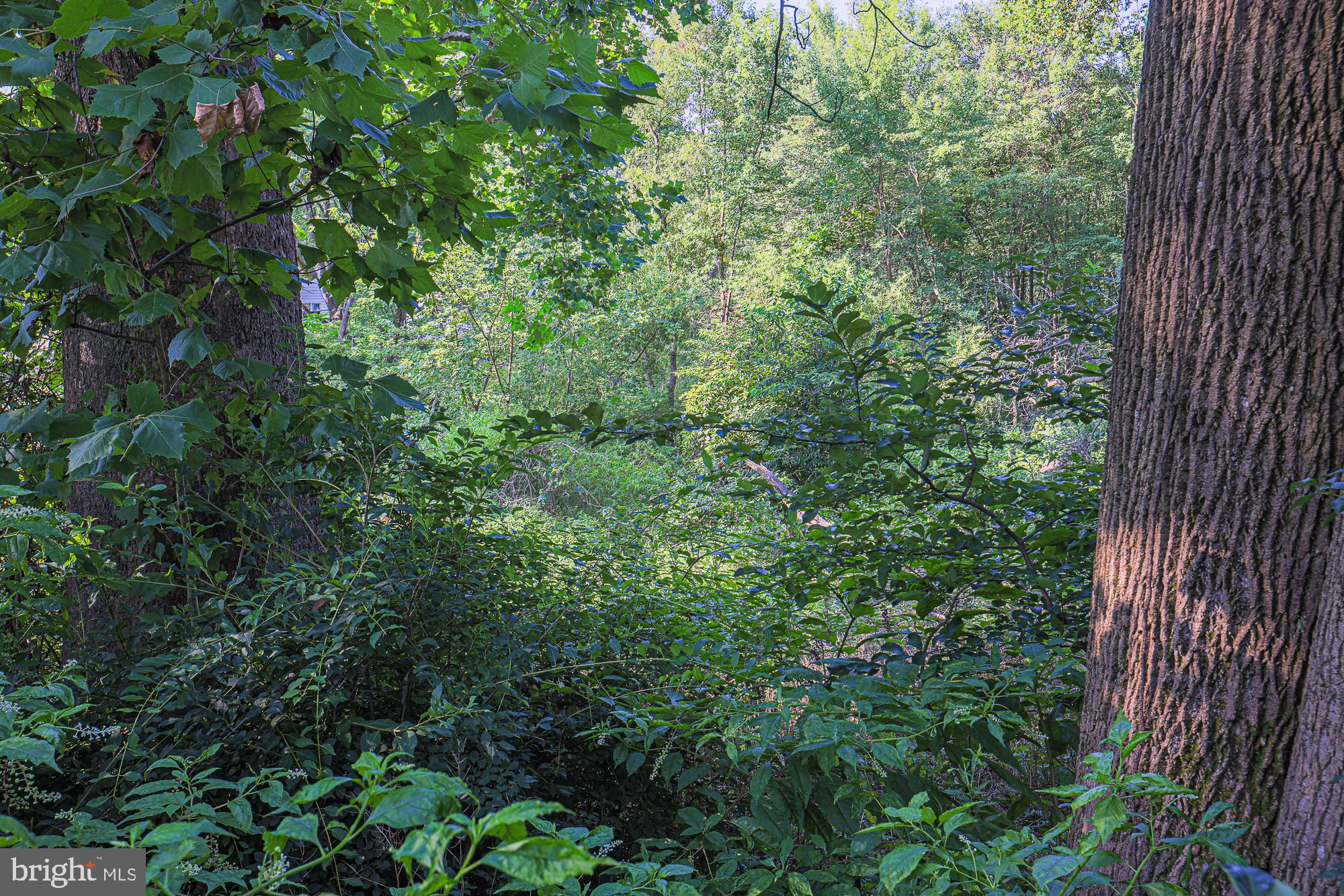 HARFORD ESTATES - Residential