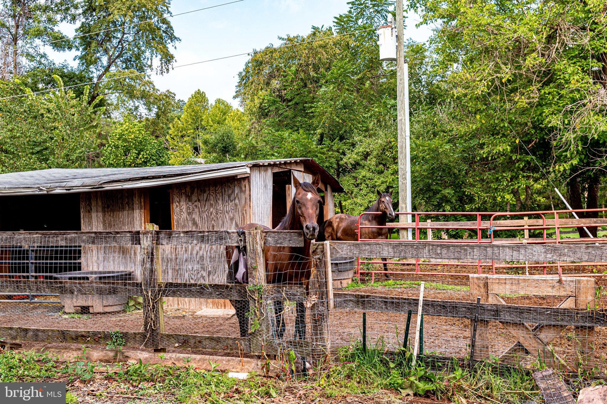 LOCUST HILL - Residential