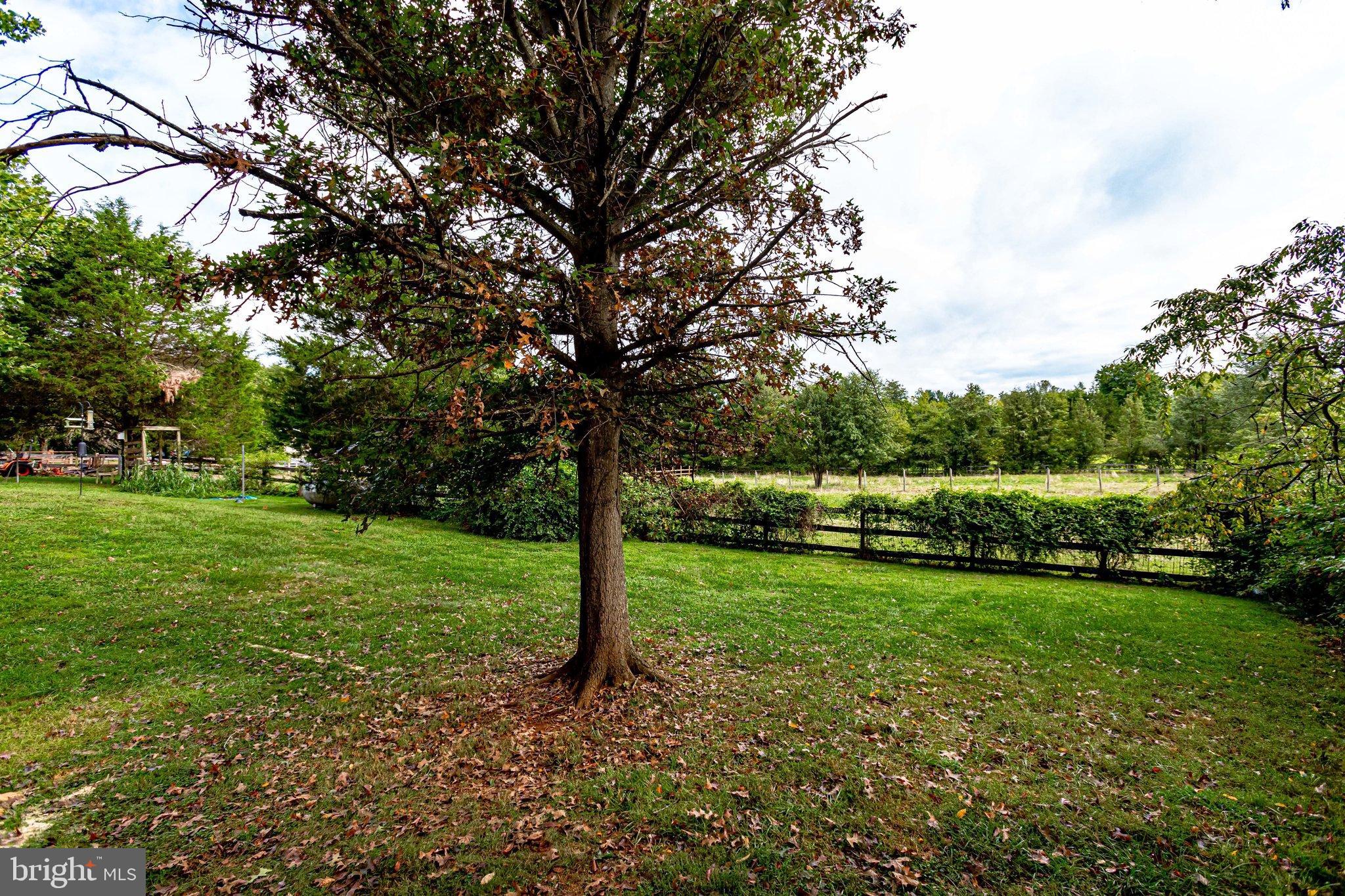 LOCUST HILL - Residential