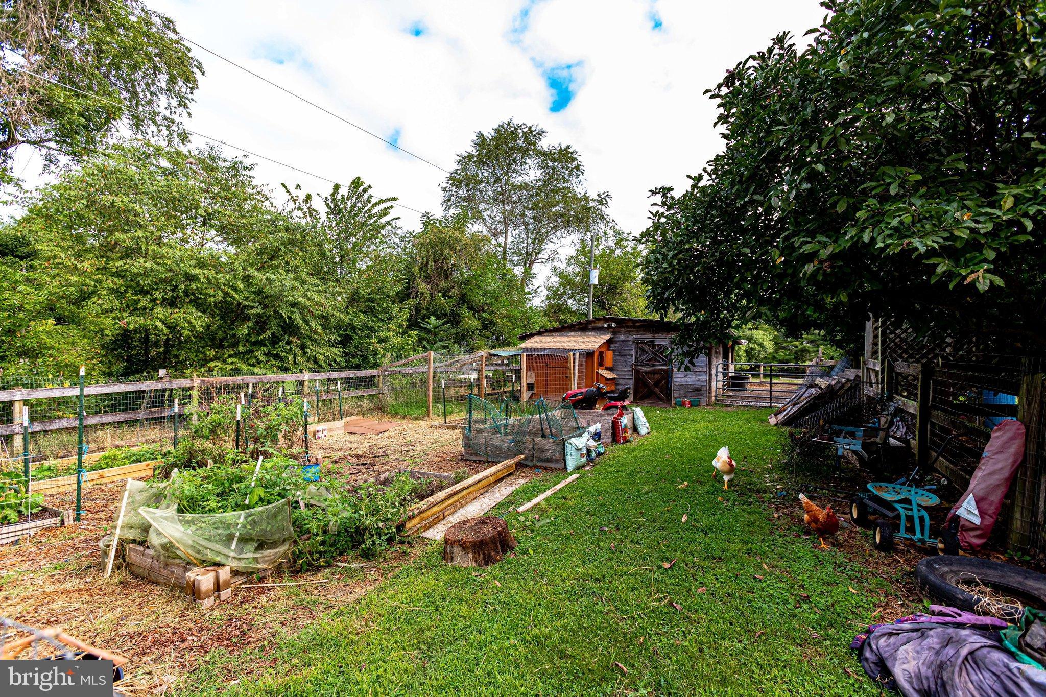 LOCUST HILL - Residential