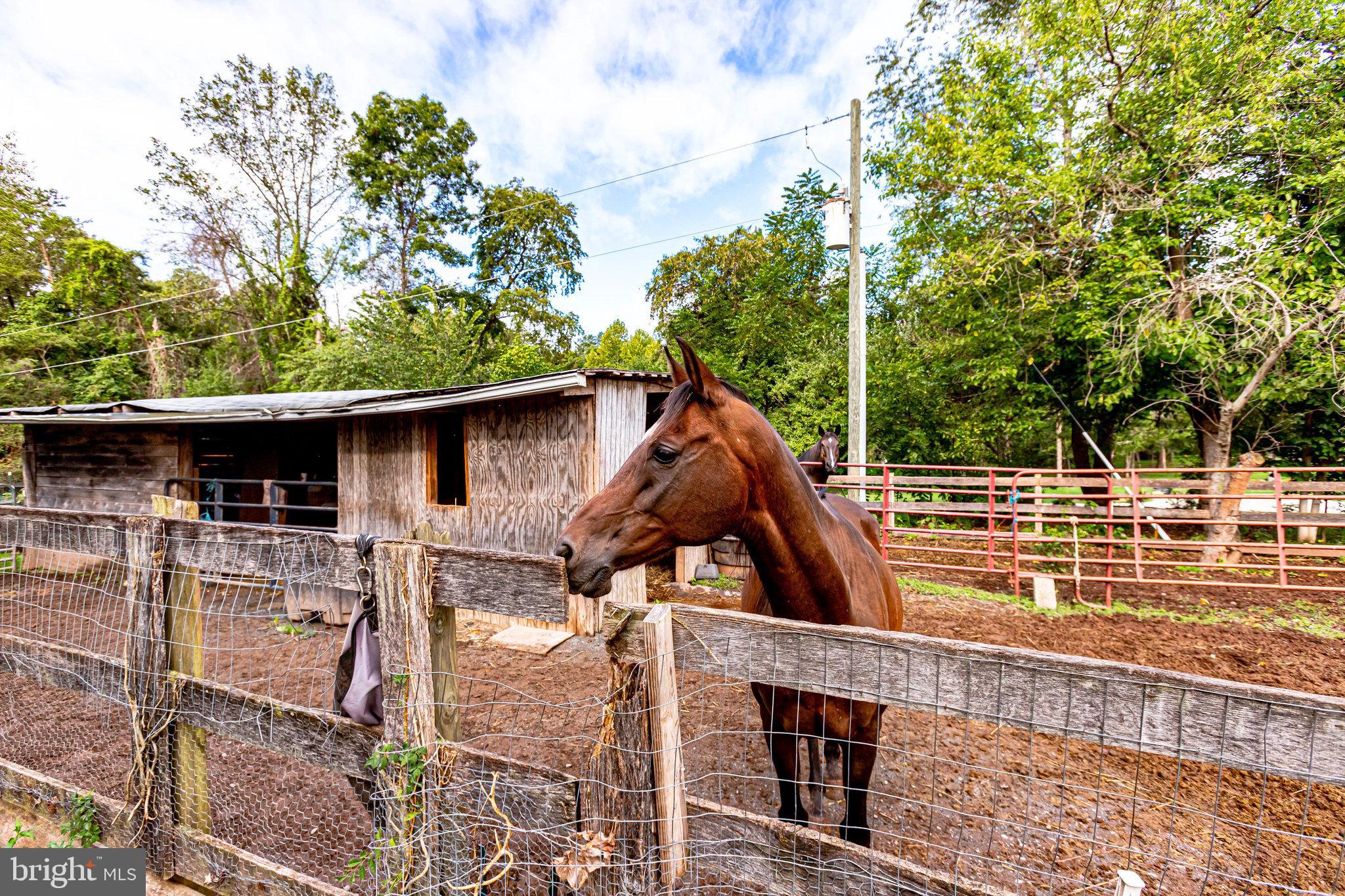 LOCUST HILL - Residential