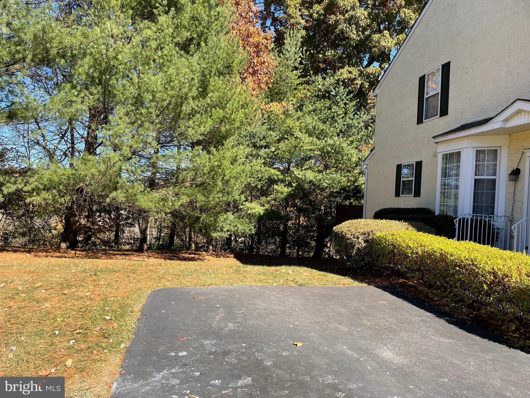 WILLISTOWN CHASE - Residential