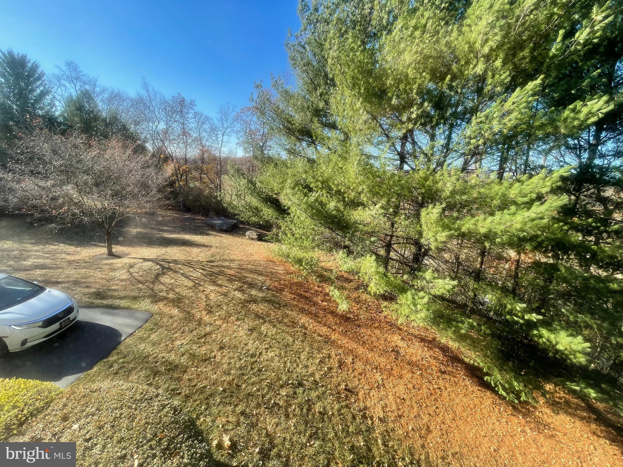 WILLISTOWN CHASE - Residential