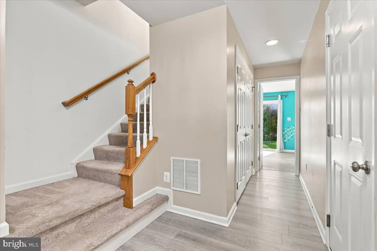 58 GAULEY RIVER PATH