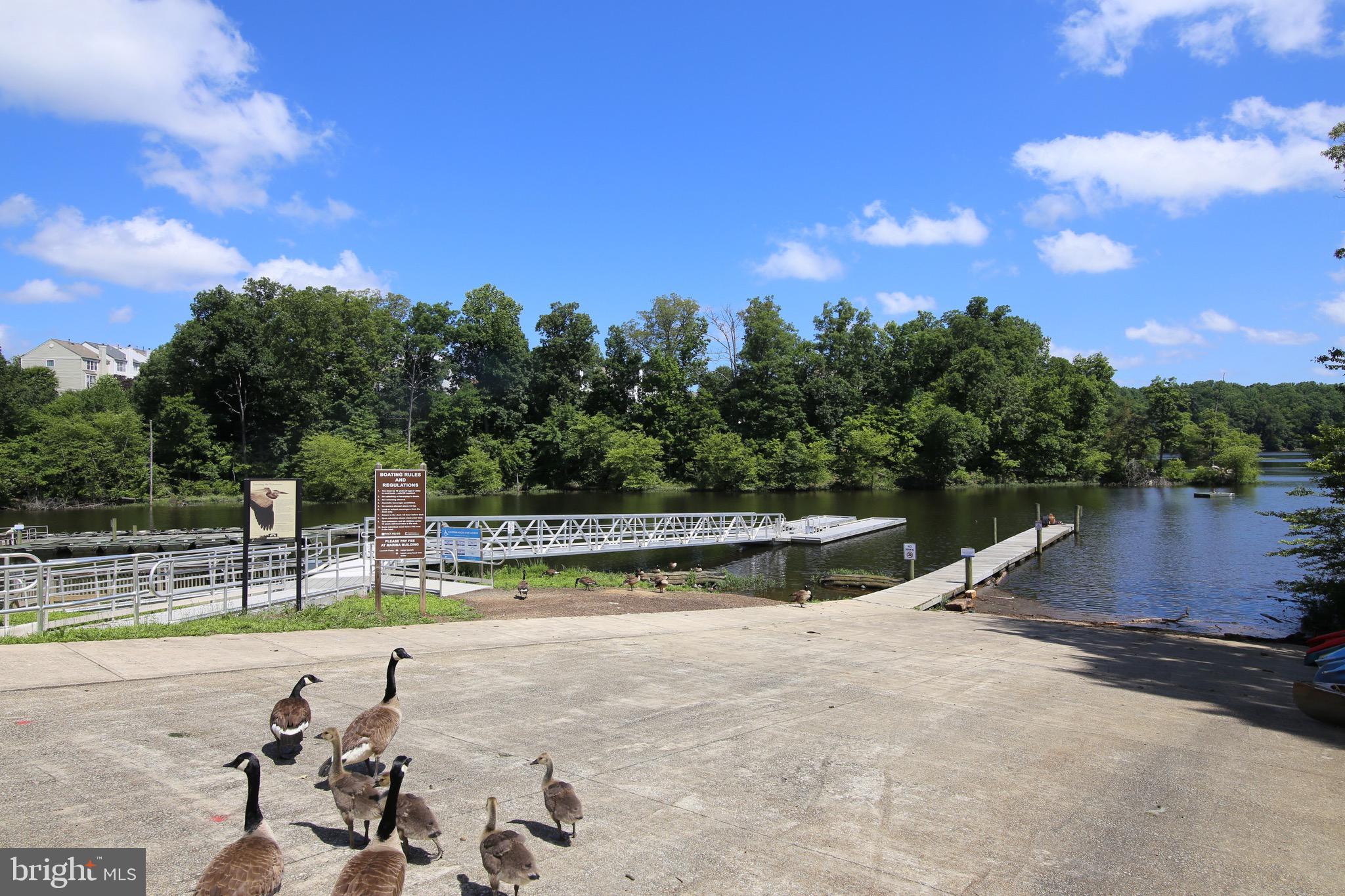 LAKE RIDGE - ANTIETAM - Residential
