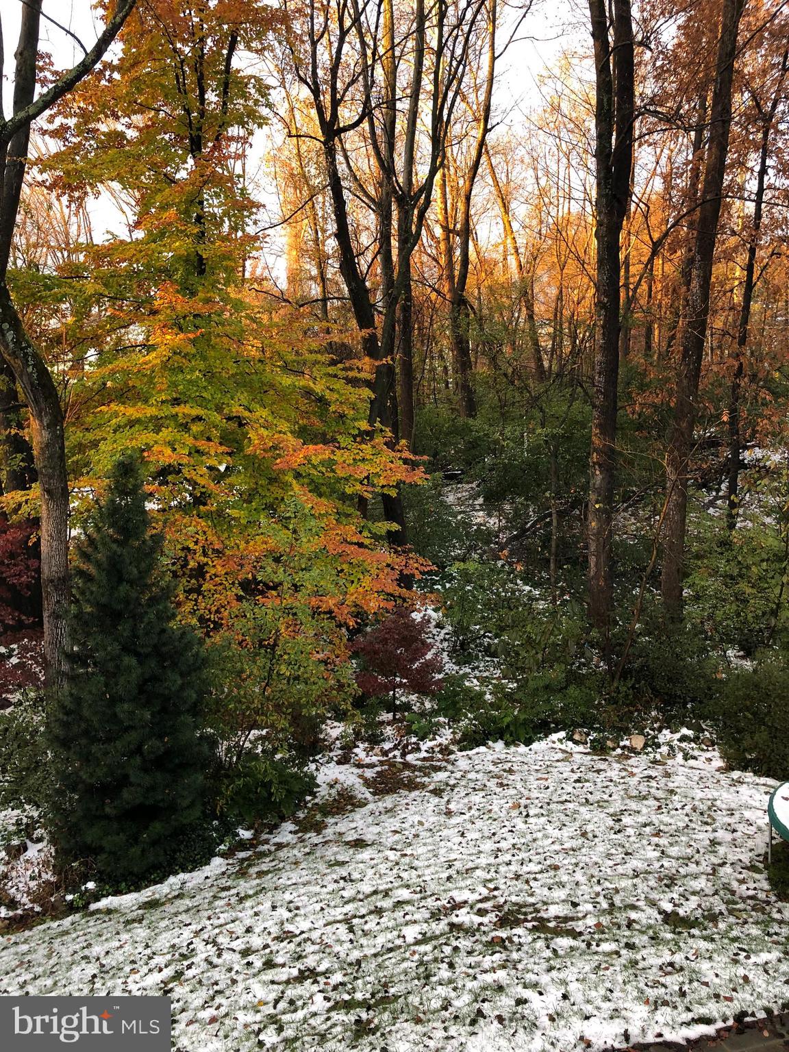 BURNING TREE VIEW - Residential