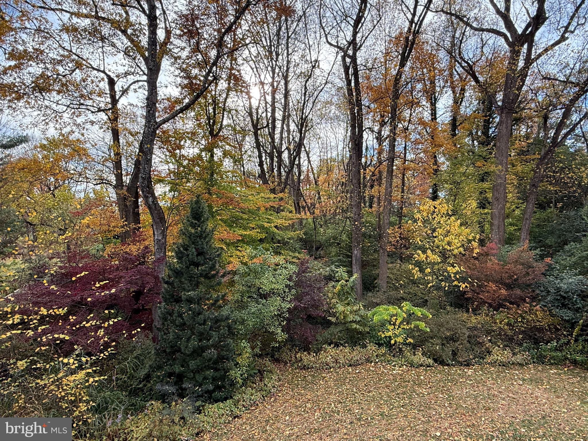 BURNING TREE VIEW - Residential