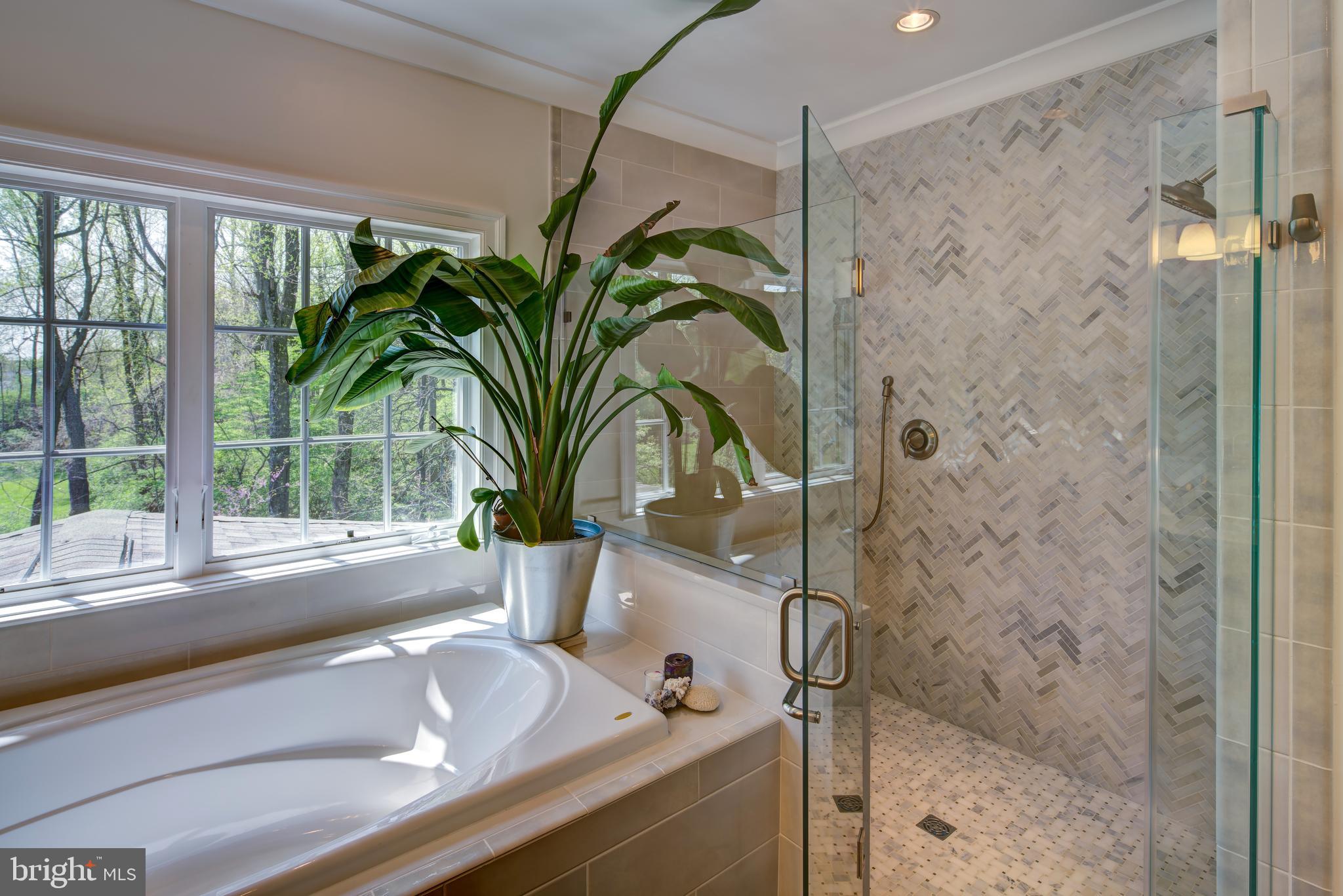 BURNING TREE VIEW - Residential