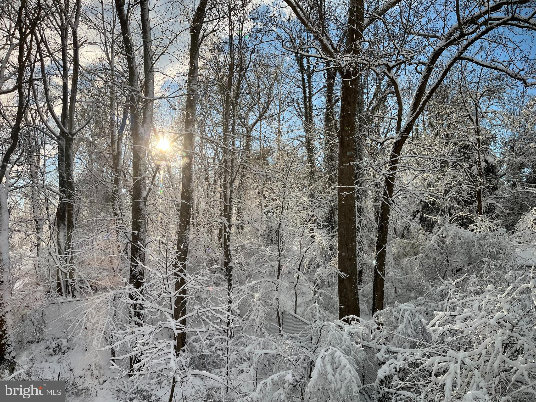 BURNING TREE VIEW - Residential