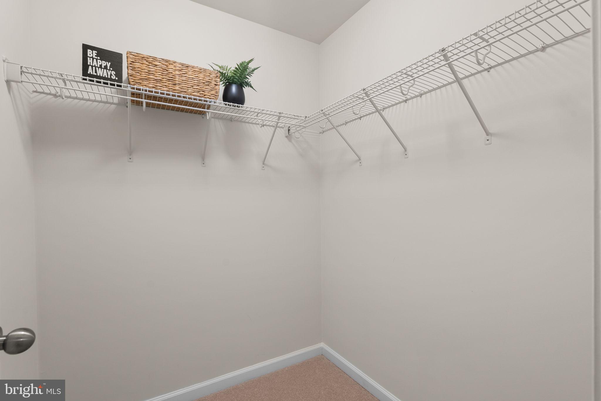 BLUE STREAM - Residential